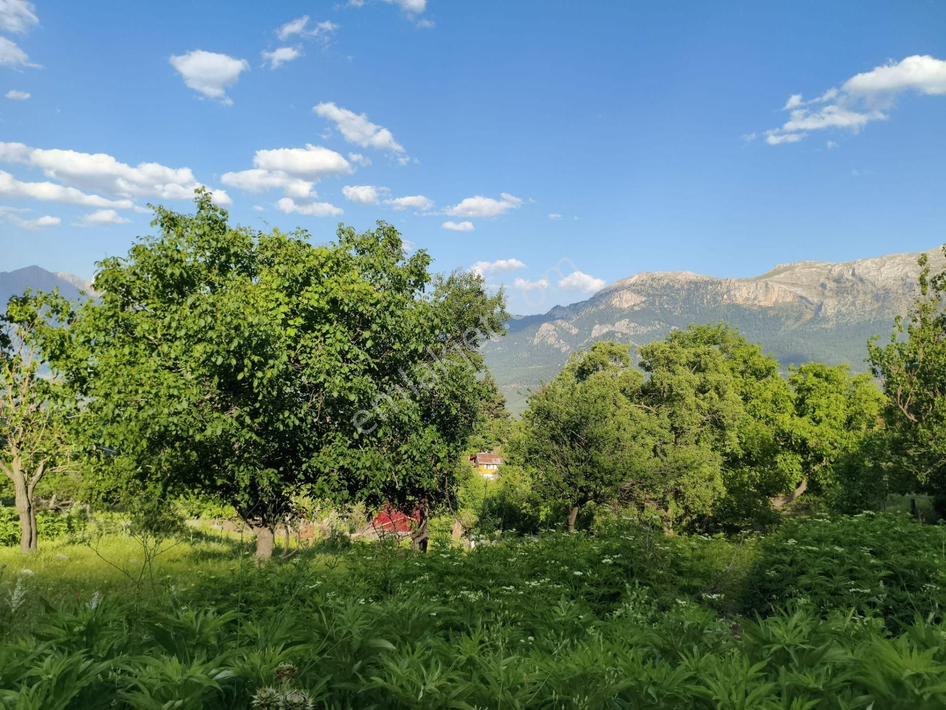 Pozantı Kar Emlaktan Akçatekir Çıralı Mevkiinde Doğa Manzaralı Satılık Yaylalık 385 M2 Arsa - Görsel 2