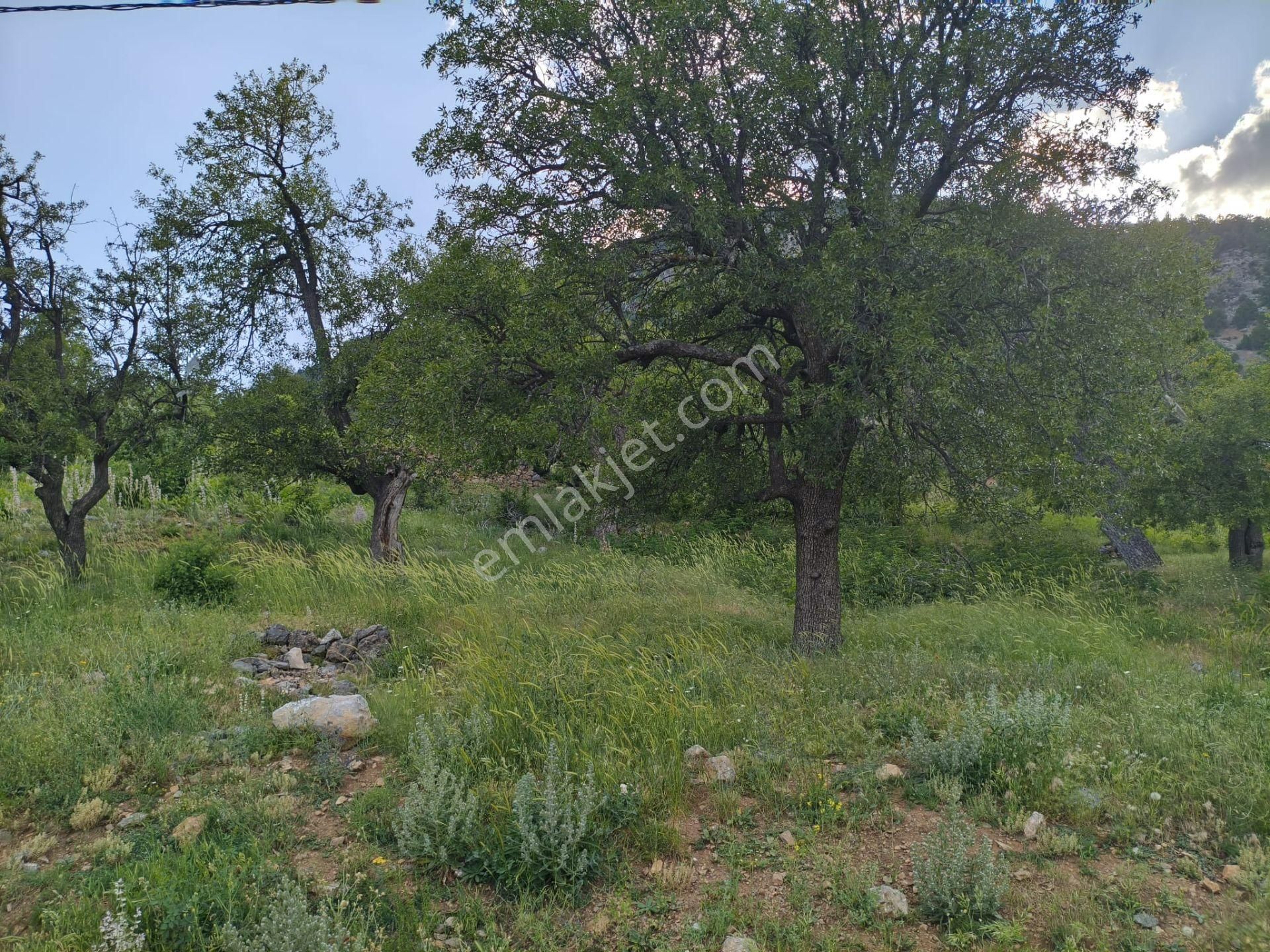 Pozantı Kar Emlaktan Akçatekir Çıralı Mevkiinde Doğa Manzaralı Satılık Yaylalık 385 M2 Arsa - Görsel 16