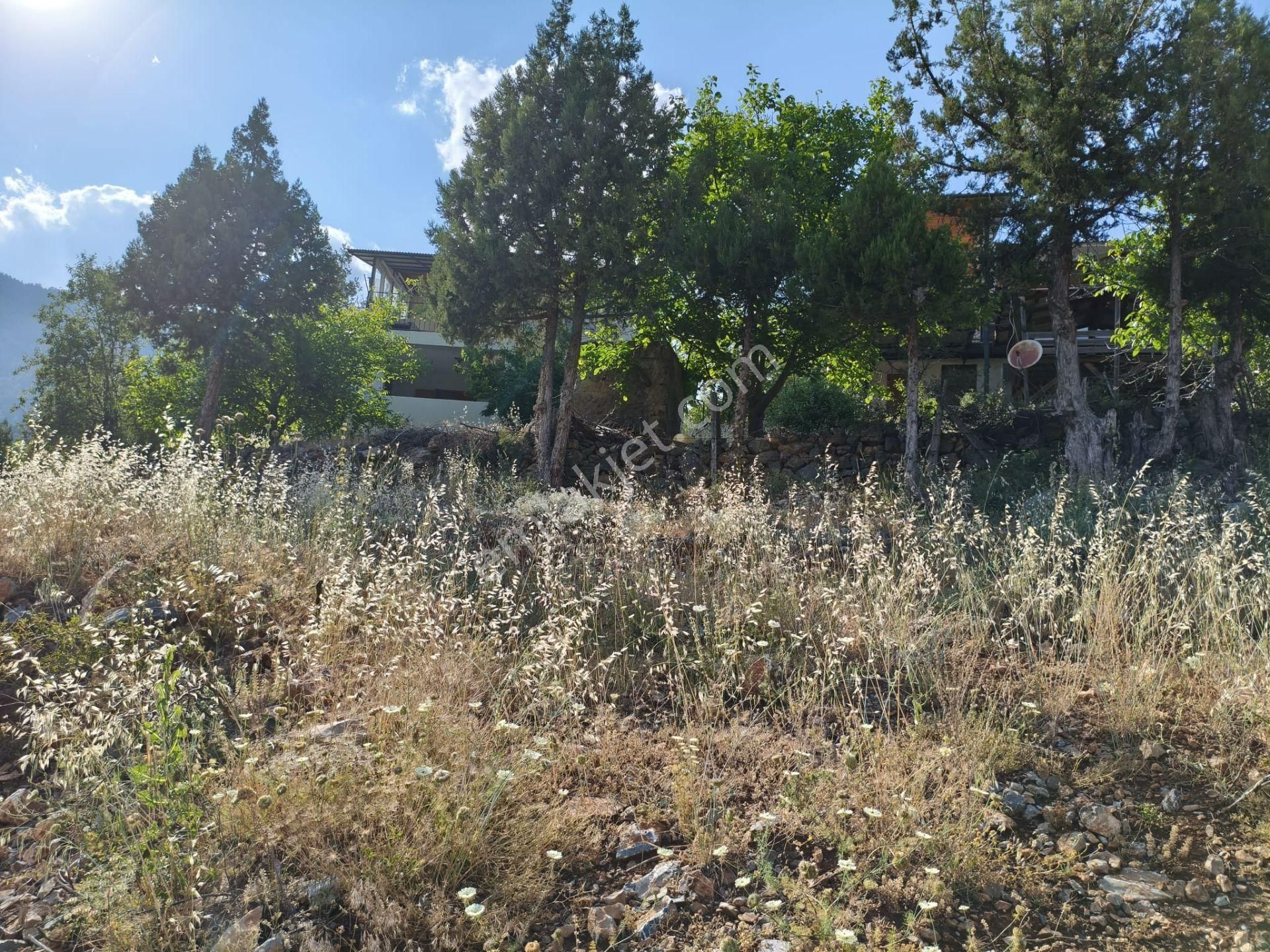 Pozantı Kar Emlaktan Akçatekir Esentepe Mevkiinde Doğa Manzaralı Yaylalık Satılık 440 M2 Arsa - Görsel 17