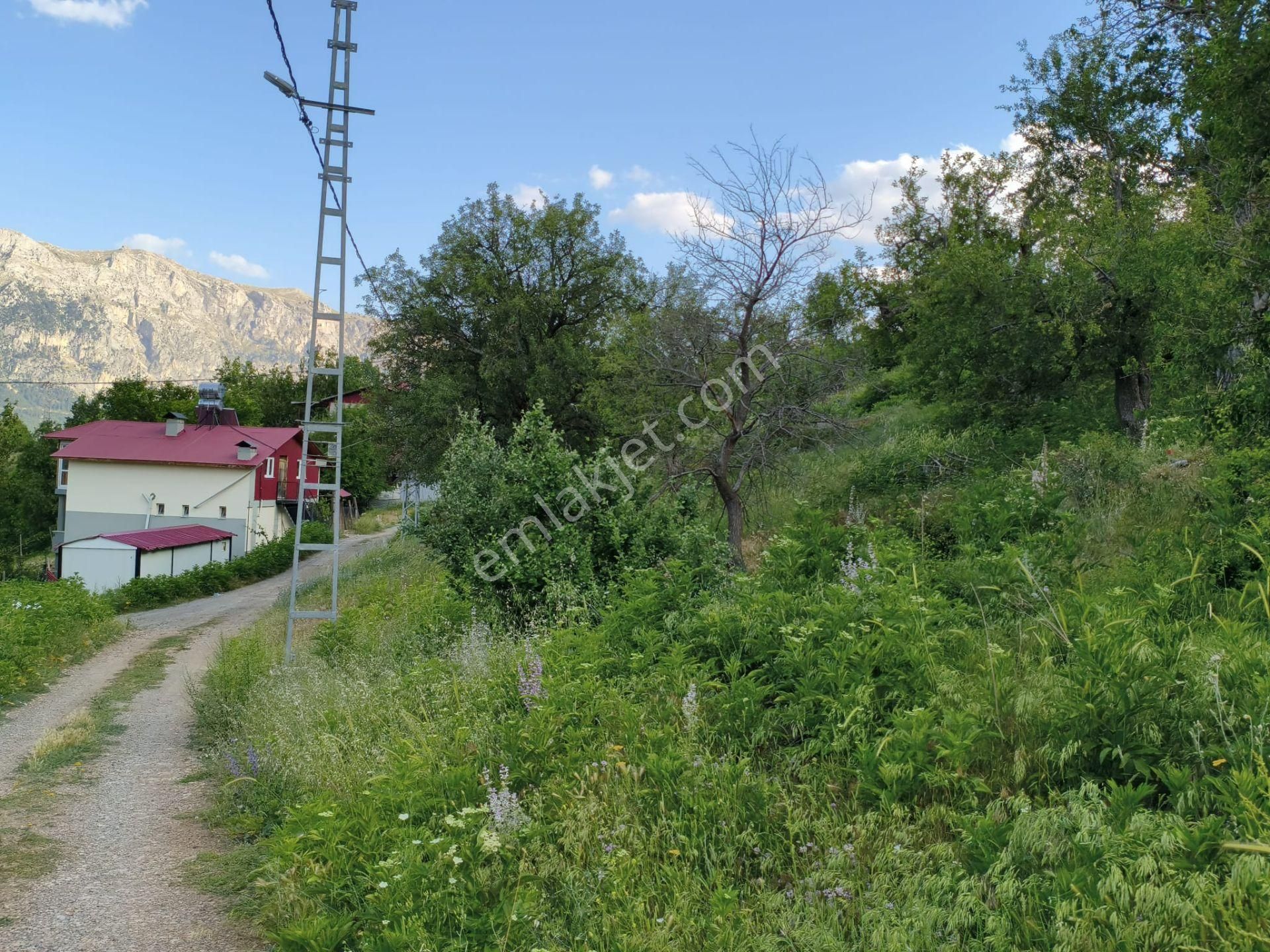 Pozantı Kar Emlaktan Akçatekir Giriş Yolunda Doğa Manzaralı 230 M2 Satılık Yaylalık Arsa - Görsel 8