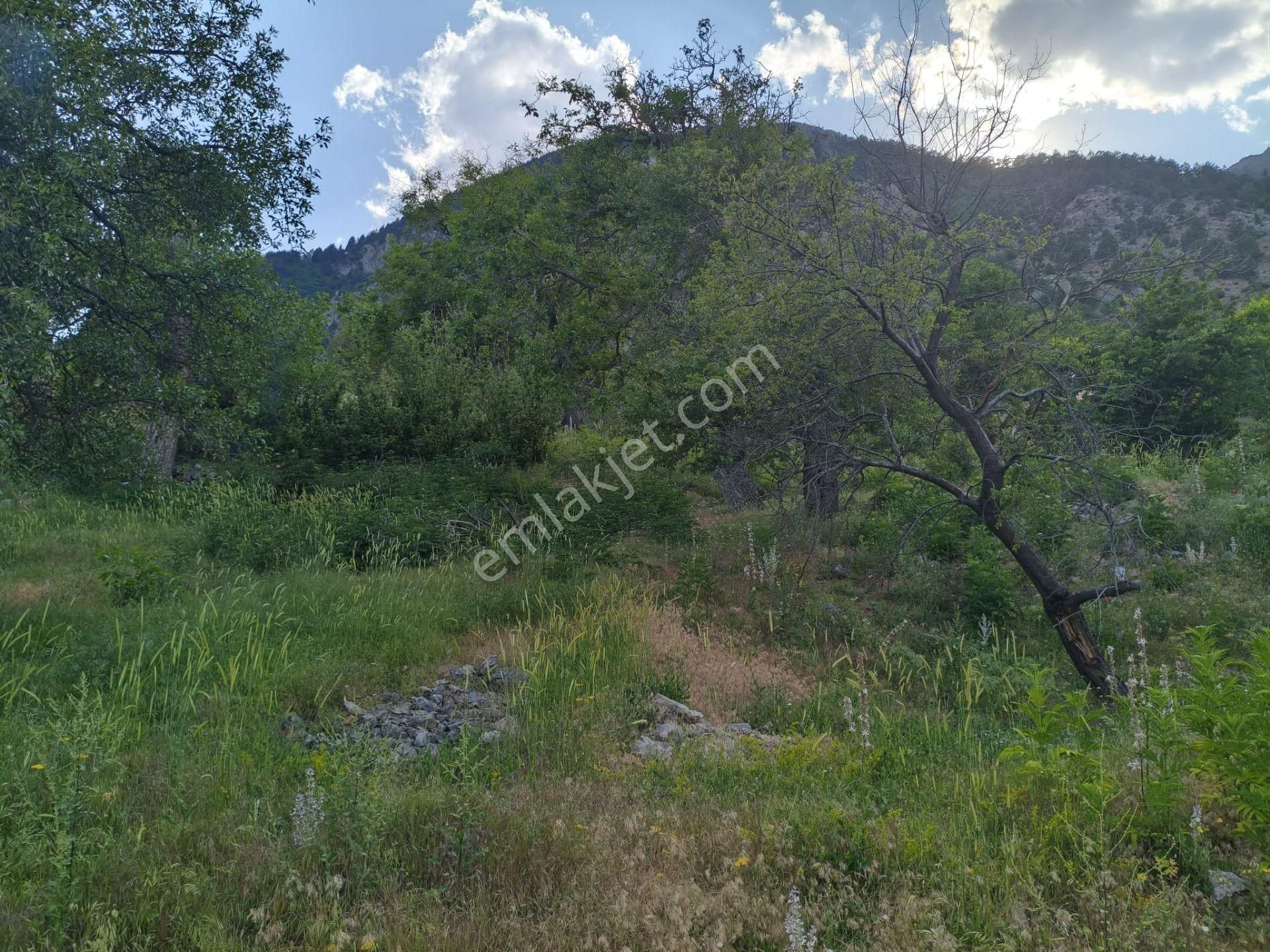 Pozantı Kar Emlaktan Akçatekir Giriş Yolunda Doğa Manzaralı 230 M2 Satılık Yaylalık Arsa - Görsel 12