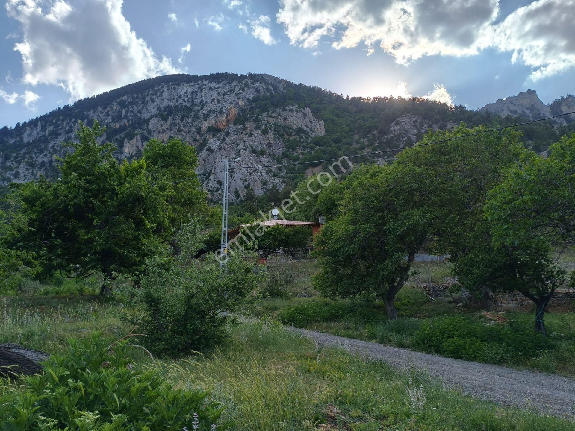 Pozantı Kar Emlaktan Akçatekir Giriş Yolunda Doğa Manzaralı 230 M2 Satılık Yaylalık Arsa - Görsel 11