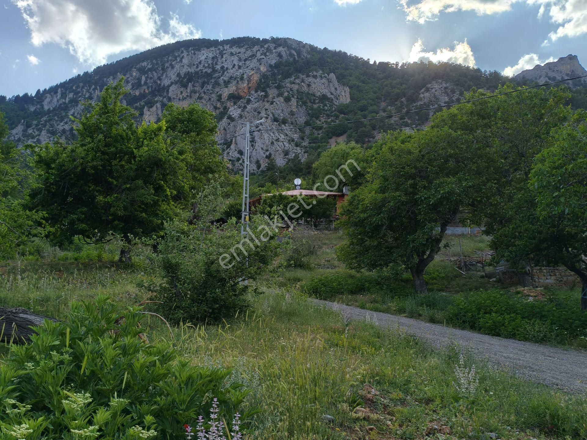 Pozantı Kar Emlaktan Akçatekir Giriş Yolunda Doğa Manzaralı 230 M2 Satılık Yaylalık Arsa - Görsel 6