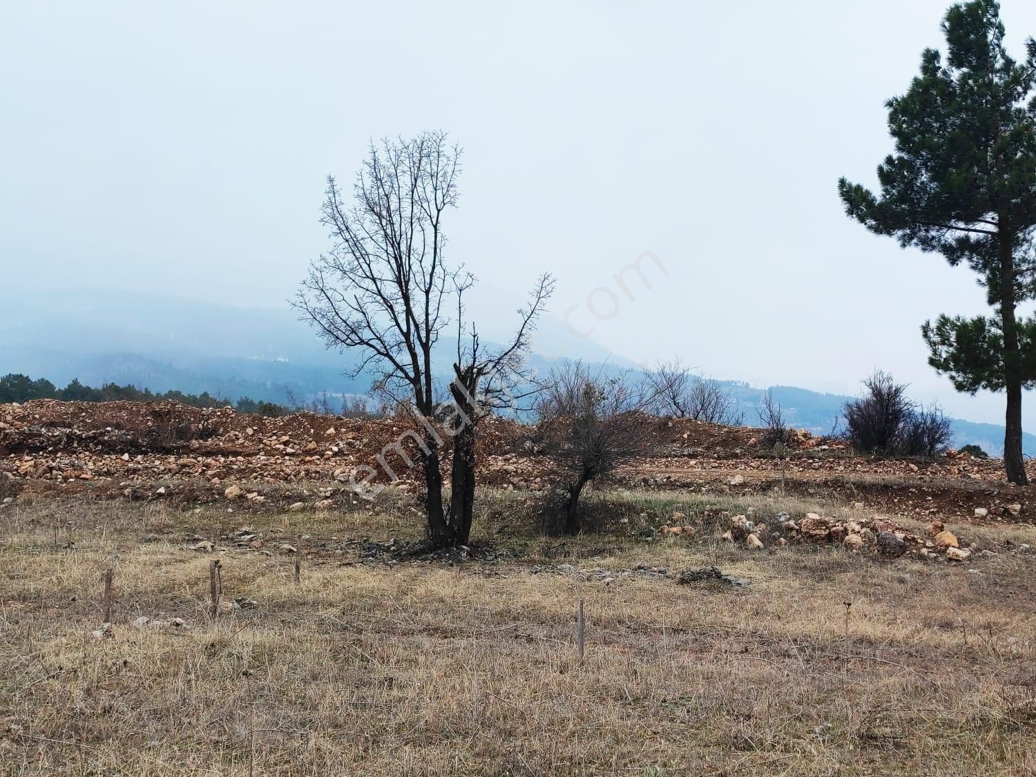 Pozantı Kar Emlaktan Alpu Yaylasında Doğa Manzaralı İmarlı İfrazlı Yaylalık Satılık 400 M2 Arsa - Görsel 6