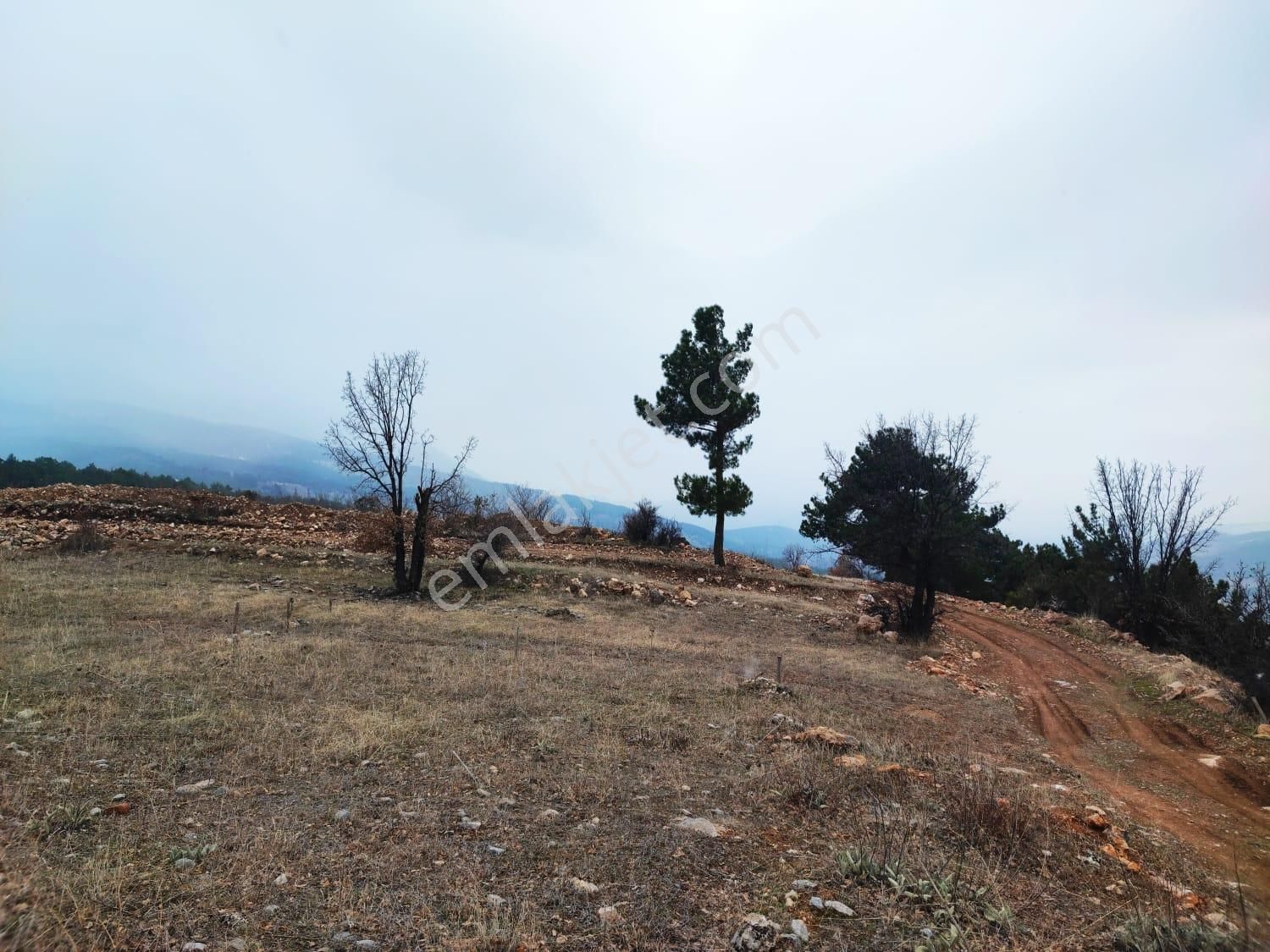 Pozantı Kar Emlaktan Alpu Yaylasında Doğa Manzaralı İmarlı İfrazlı Yaylalık Satılık 400 M2 Arsa - Görsel 10