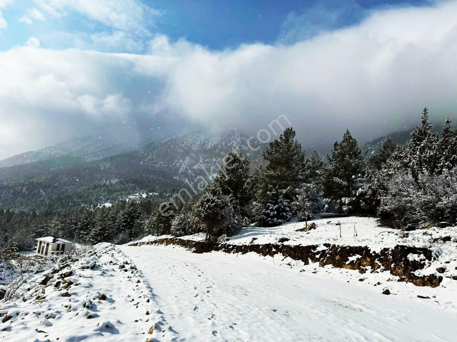 Pozantı Kar Emlaktan Alpu Yaylasında Doğa Manzaralı İmarlı İfrazlı Satılık Yaylalık 400 M2 Arsa - Görsel 20