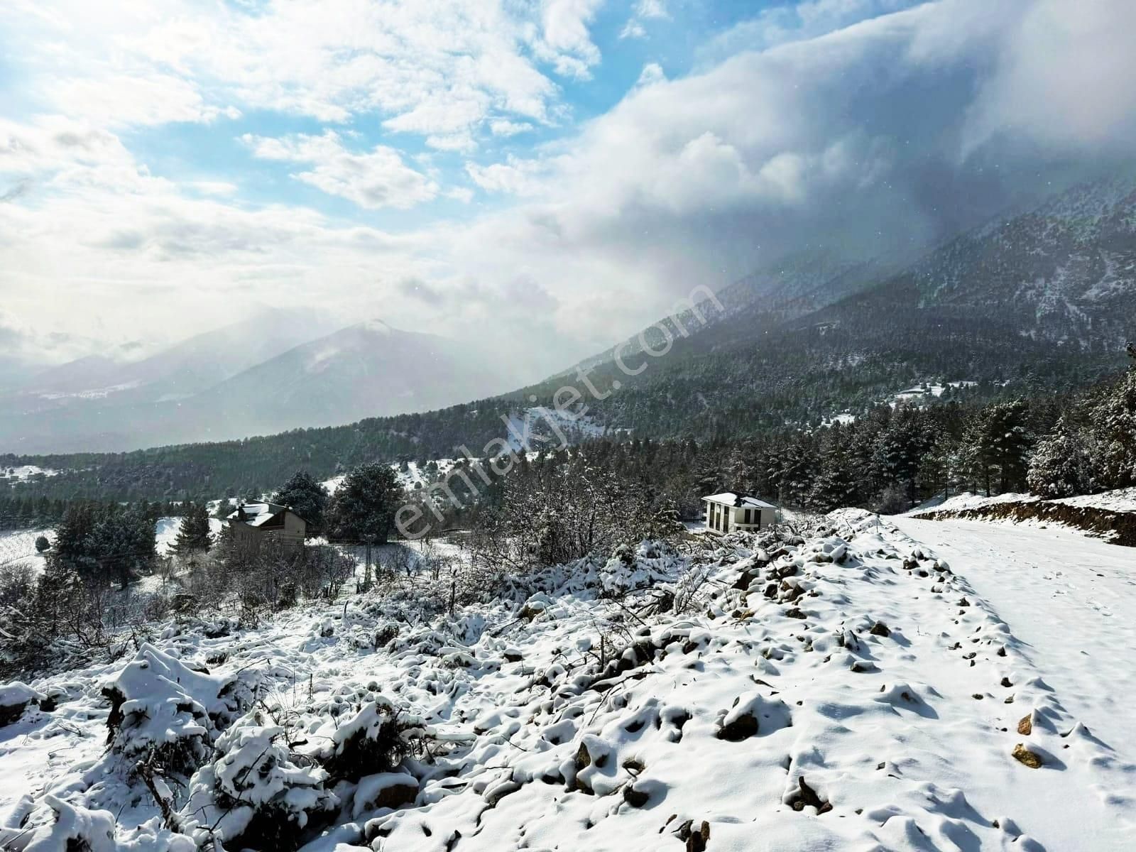 Pozantı Kar Emlaktan Alpu Yaylasında Doğa Manzaralı İmarlı İfrazlı Satılık Yaylalık 400 M2 Arsa - Görsel 22