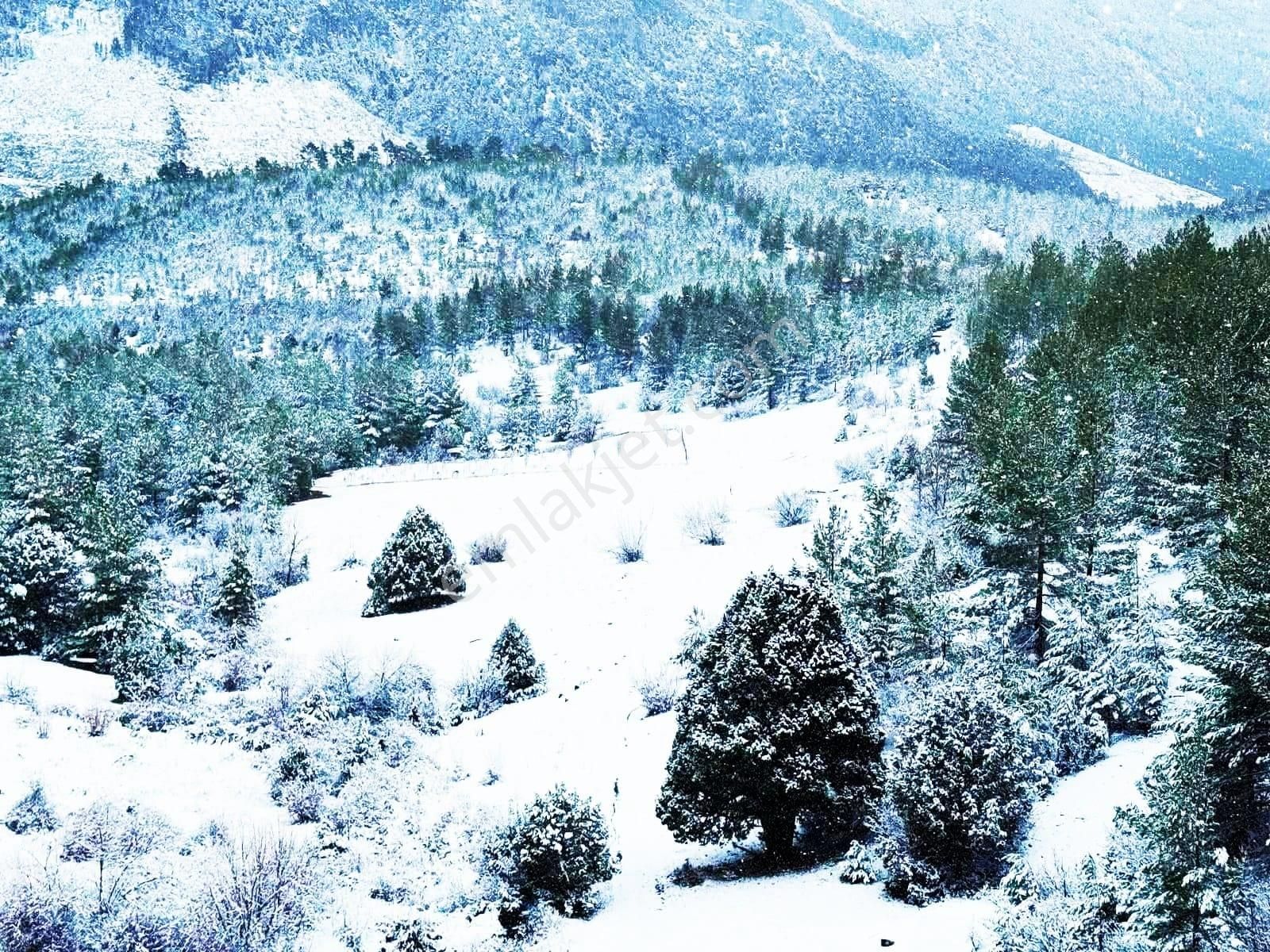 Pozantı Kar Emlaktan Alpu Yaylasında Yaylalık 450 M2 Satılık Arsa - Görsel 6