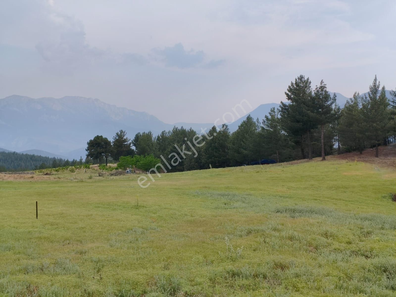 Pozantı Kar Emlaktan Alpu Yaylasında Doğa Manzaralı İmarlı İfrazlı Yaylalık Satılık 477 M2 Arsa - Görsel 6