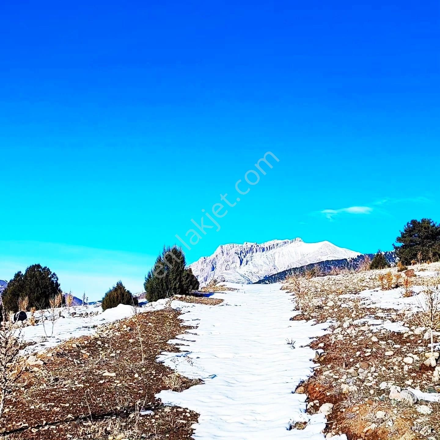 Pozantı Kar Emlaktan Aşçıbekirli Fenese Mevkiinde Satılık Yaylalık 400 M2 Arsa - Görsel 6