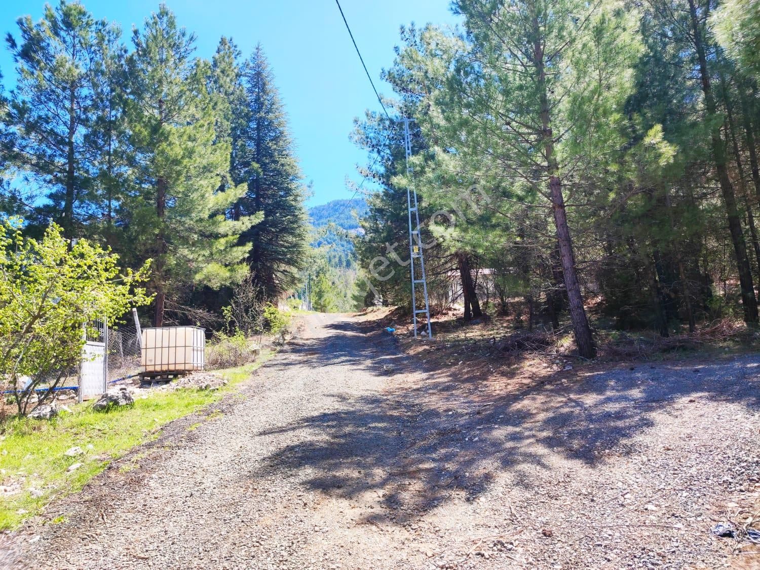 Pozantı Kar Emlaktan Eski Konacık Doğa Manzaralı İmarlı İfrazlı Yaylalık Satılık 250 M2 Arsa - Görsel 7