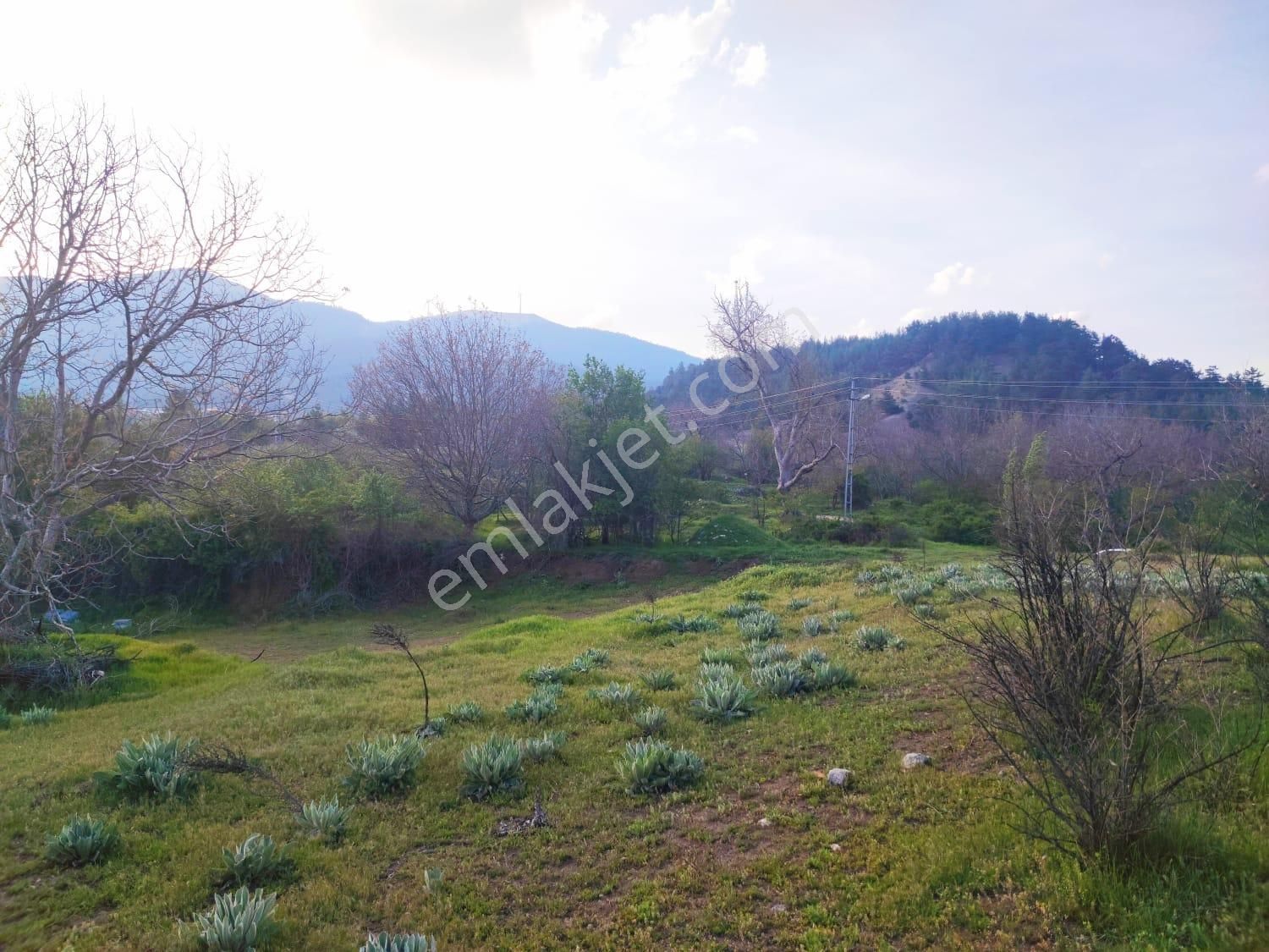 Pozantı Kar Emlaktan Fındıklı Yaylası Doğa Manzaralı İmarlı İfrazlı 1500 M2 Arsa