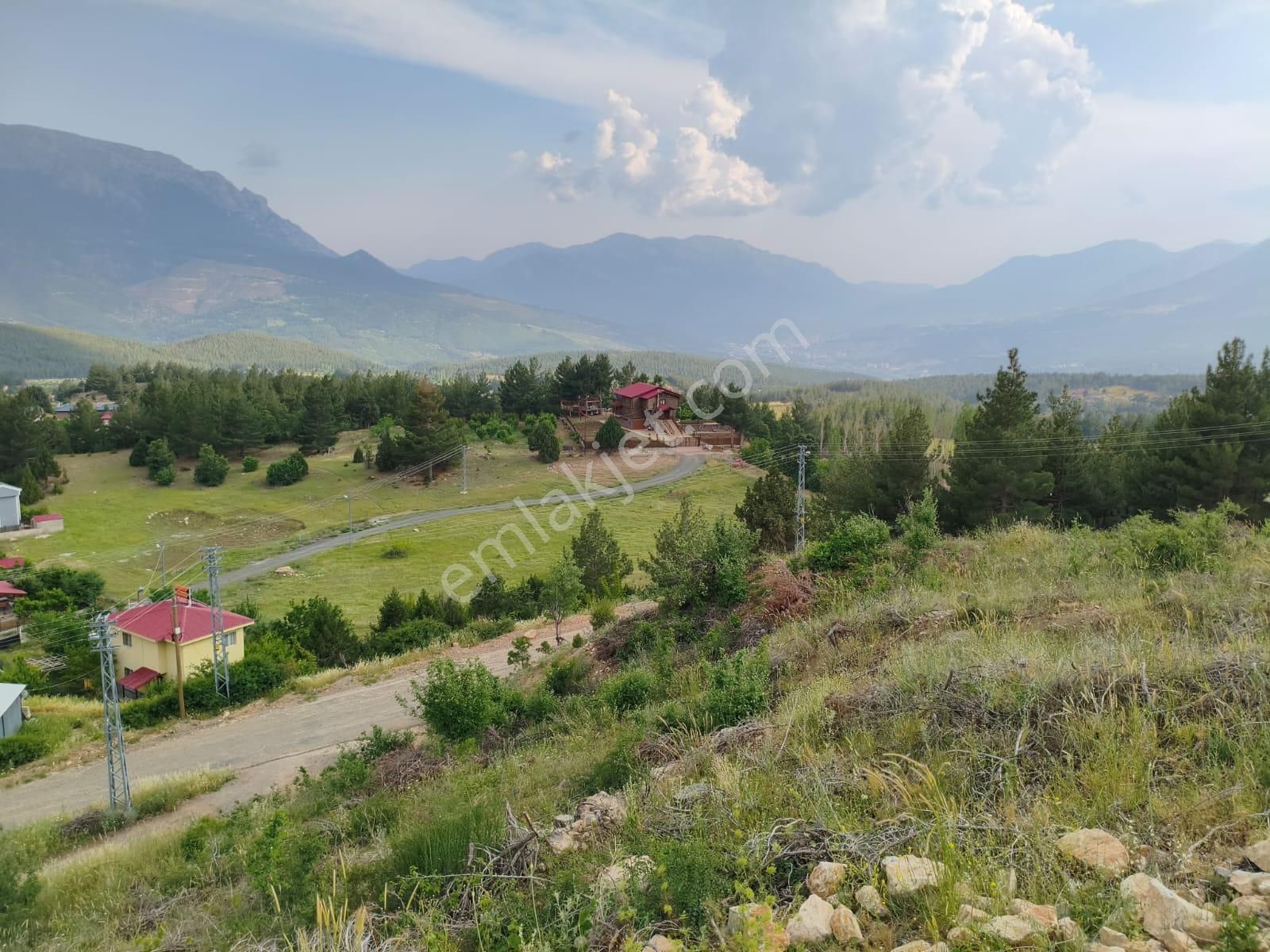 Pozantı Kar Emlaktan Alpu Yaylası Radar Yolunda Doğa Manzaralı İmralı İfrazlı 400 M2 Satılık Arsa - Görsel 2