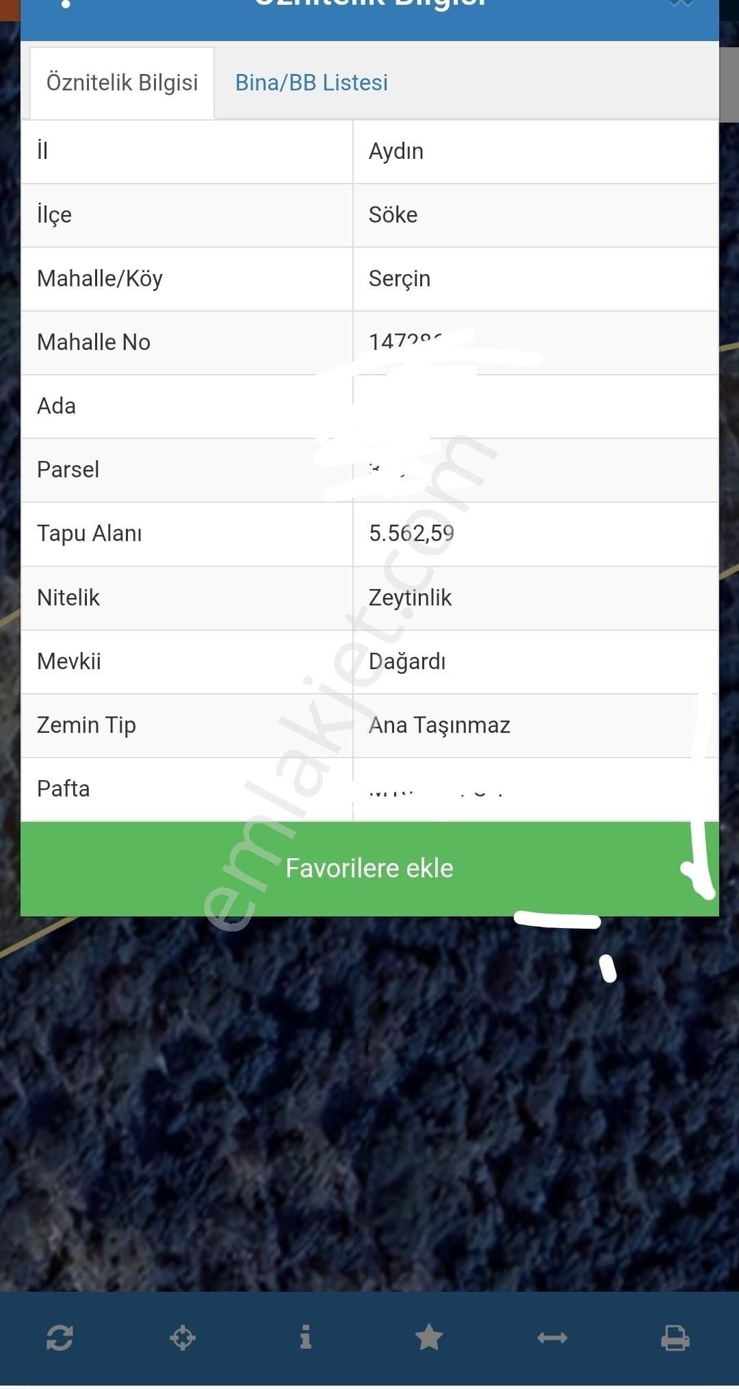 Serçin Köyü Sökede Satılık Zeytinlik - Görsel 3