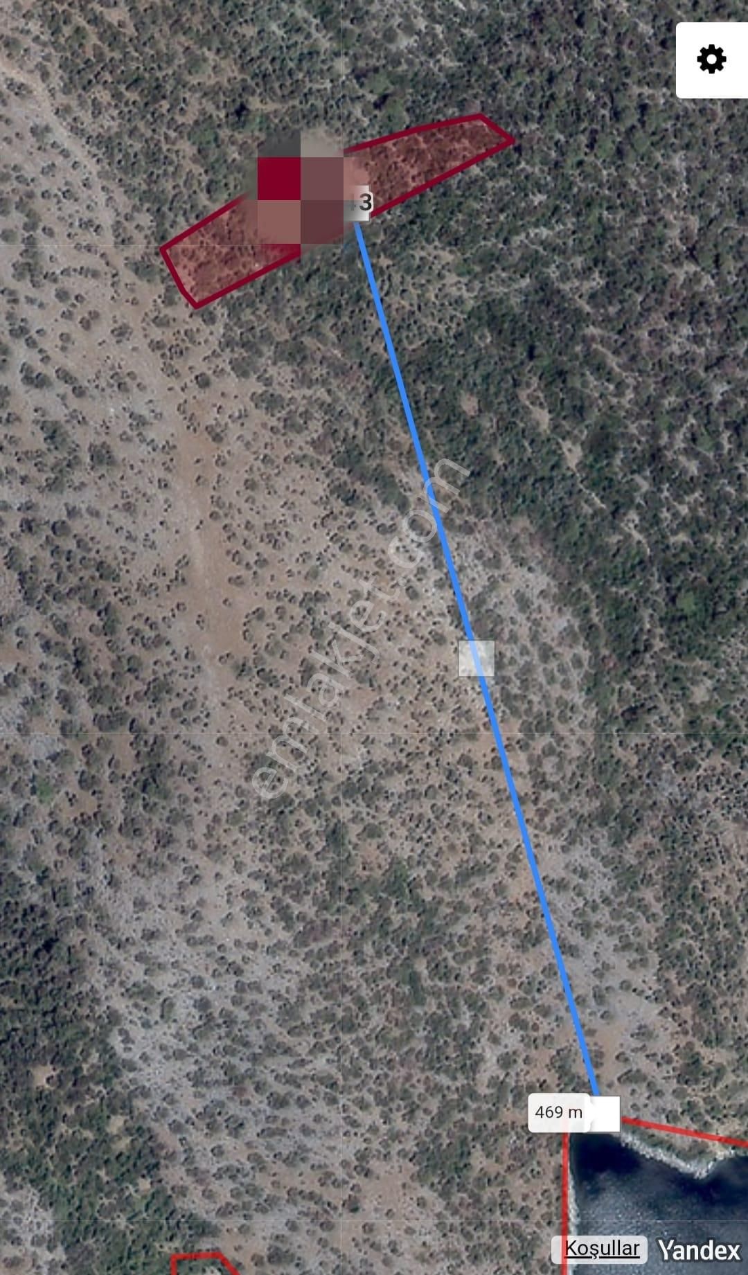 Serçin Köyü Sökede Satılık Zeytinlik - Görsel 4