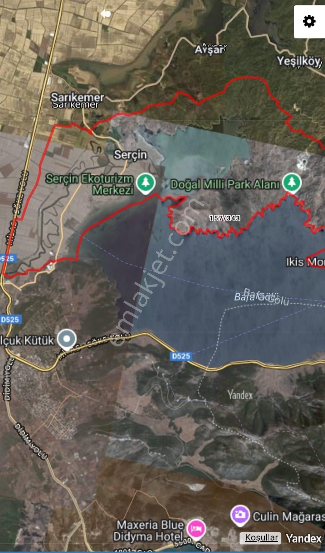 Serçin Köyü Sökede Satılık Zeytinlik - Görsel 2
