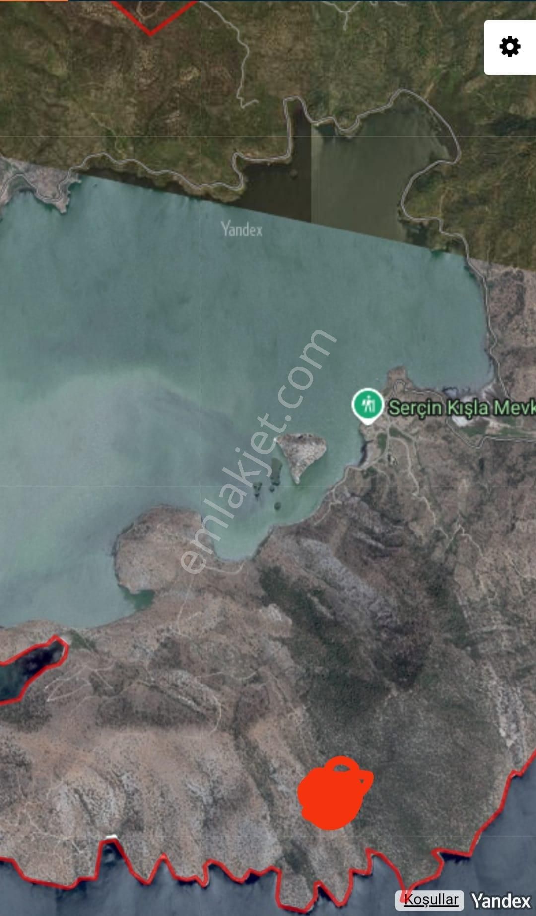 Serçin Köyü Sökede Satılık Zeytinlik - Görsel 8