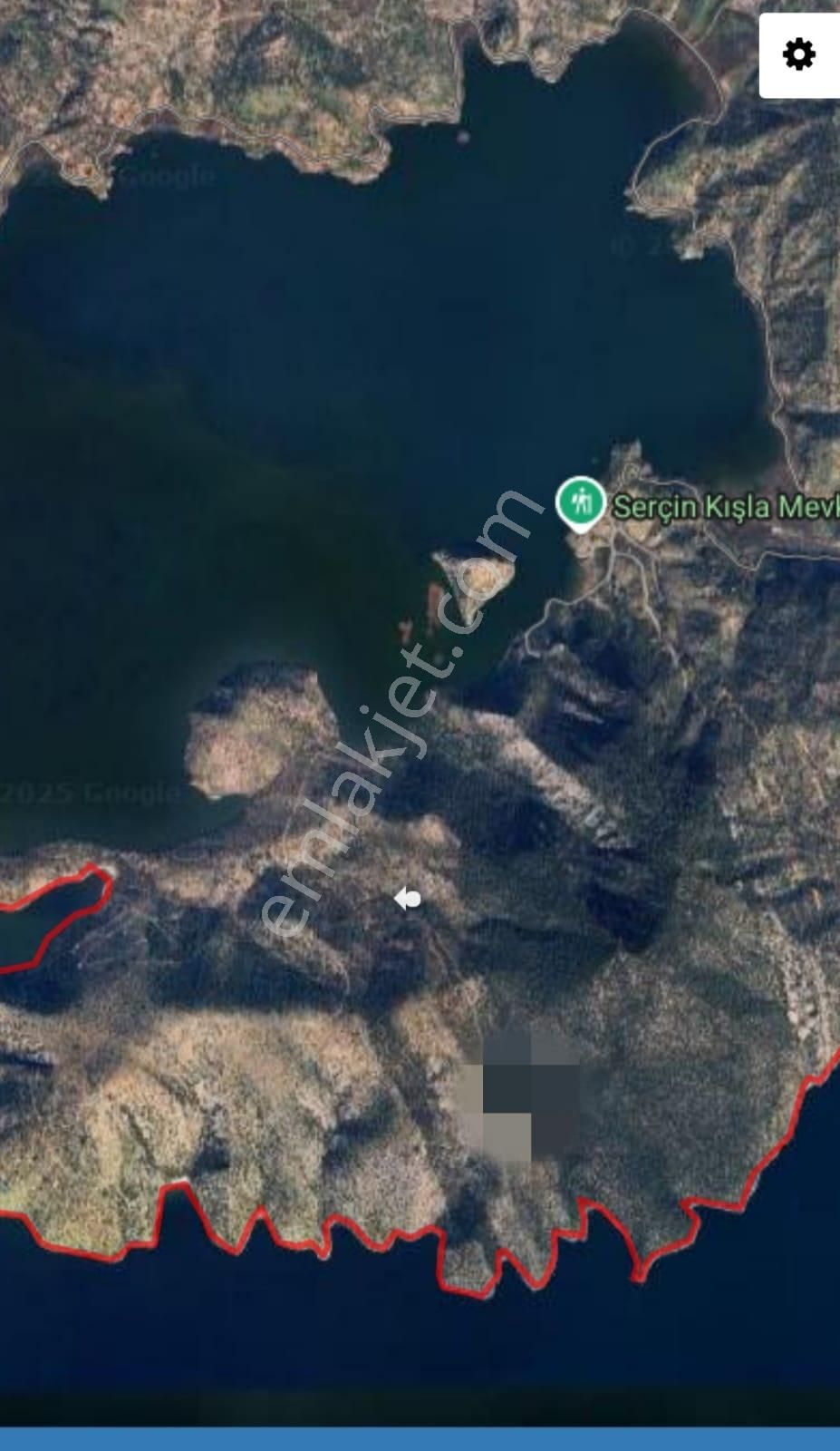 Serçin Köyü Sökede Satılık Zeytinlik - Görsel 4