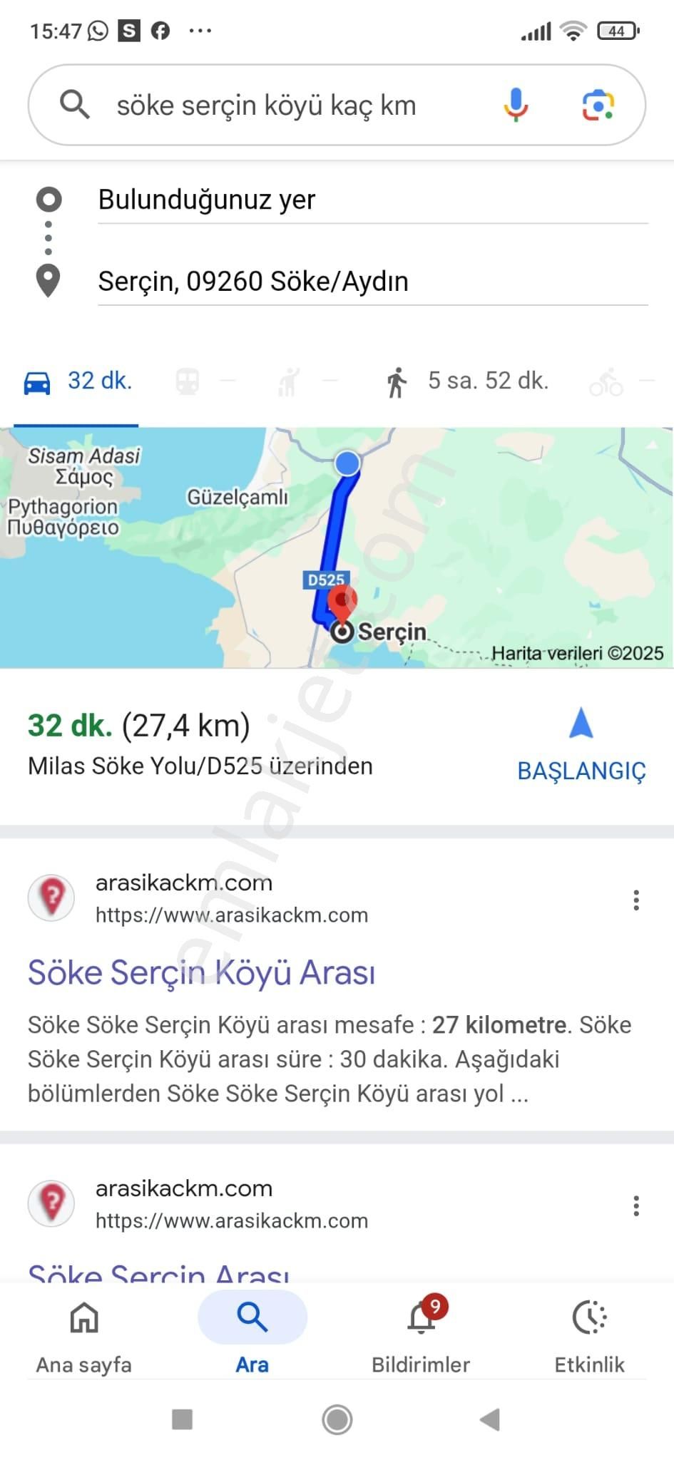 Serçin Köyü Sökede Satılık Zeytinlik - Görsel 5