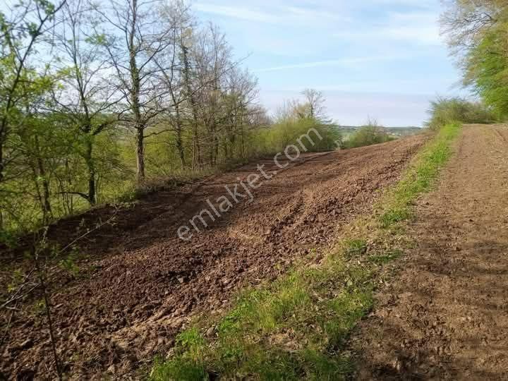 Kandıra Sarıahmetlerde 793 M2