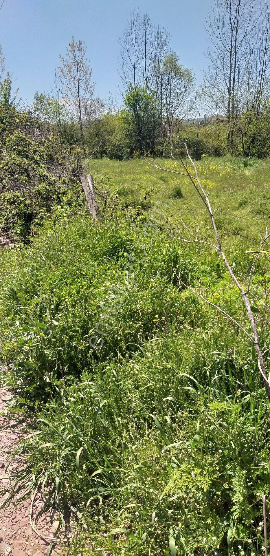 Sahibınden Kandıra Uğumce Köyü 909 M2 Arazi