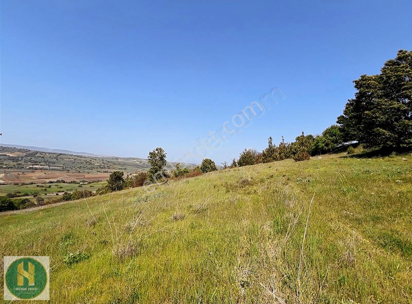 Has Real Estate Gayrimenkul 'den Cinge'de Satılık Tarla