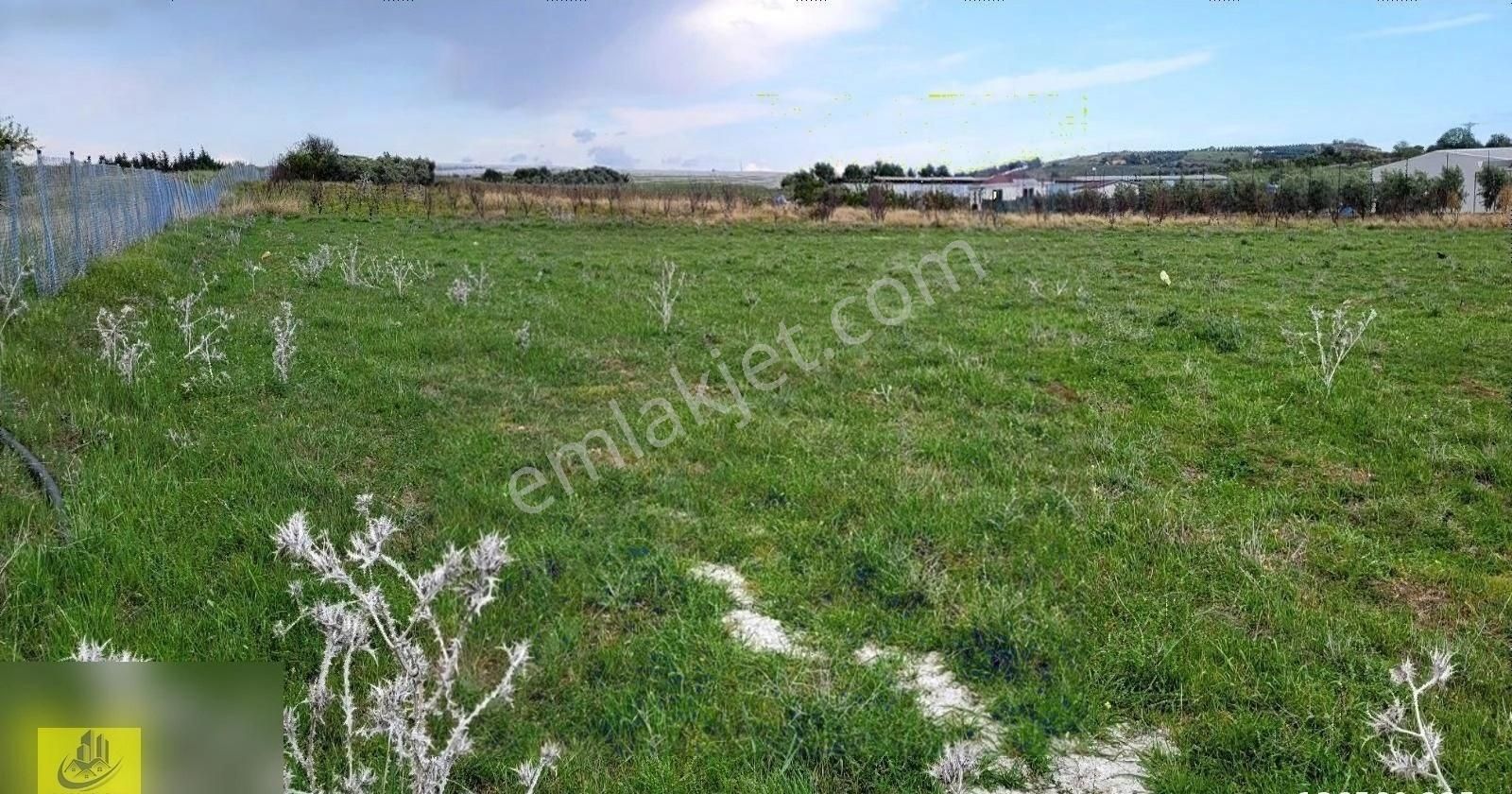 Bozön Da Satılık 34 Cadden Giden Bozön Yol Cepheli 9500 M2 - Görsel 7
