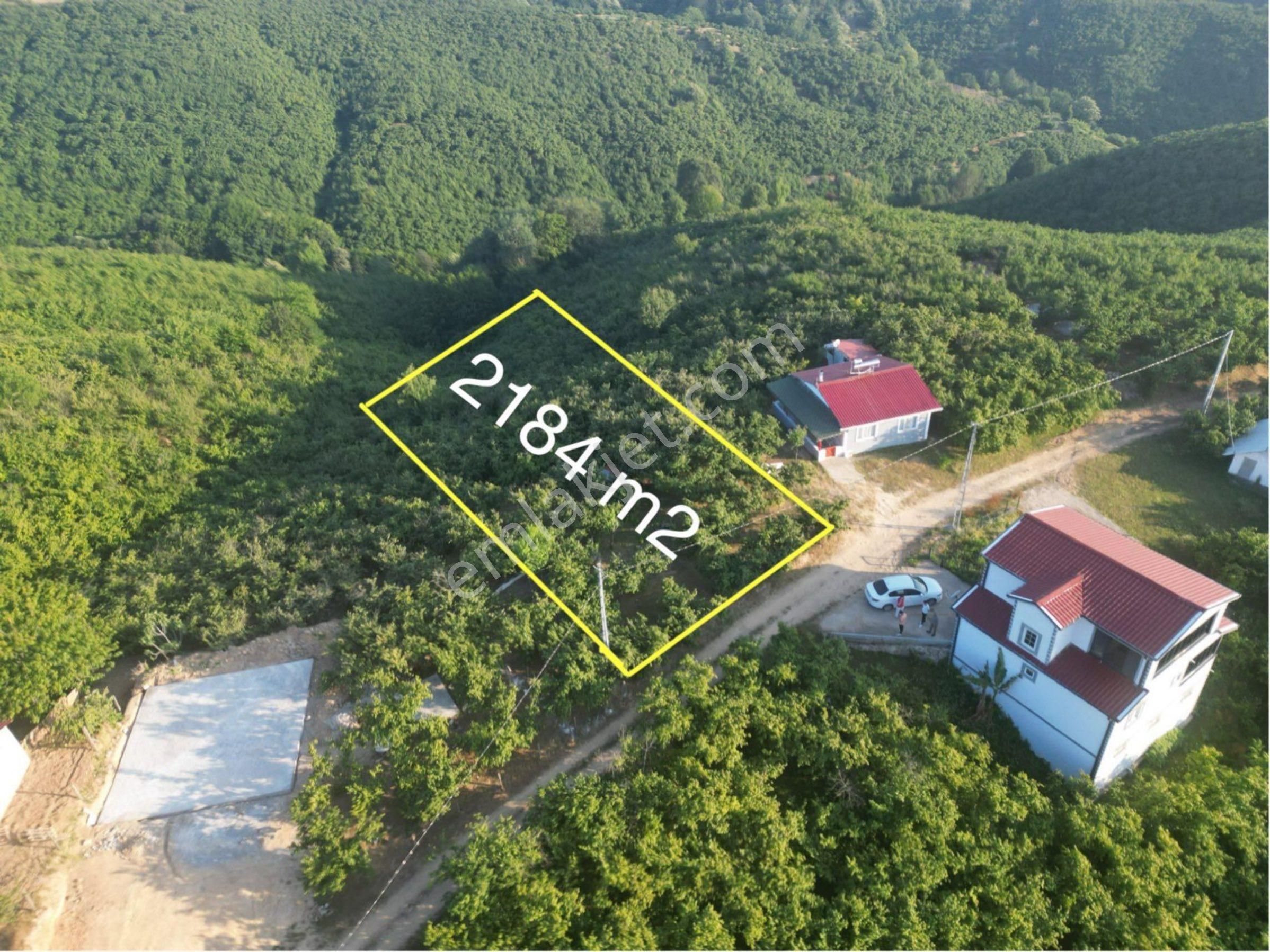 Karasu Darıçayırı Mahallesinde 2184 M2 Ev Yapımına Uygun Satılık Arsa.