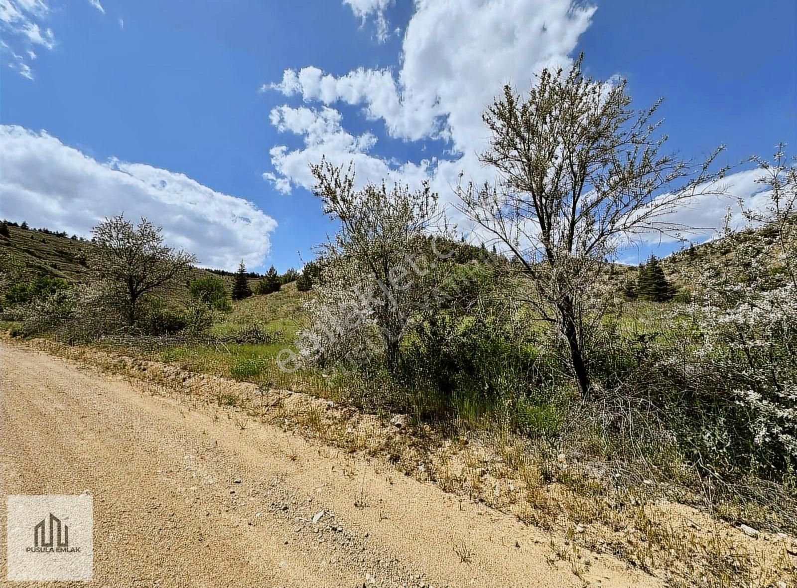 Avanosta Ana Yola 1 Km Yolu Başında 973 Mt2 Bağ