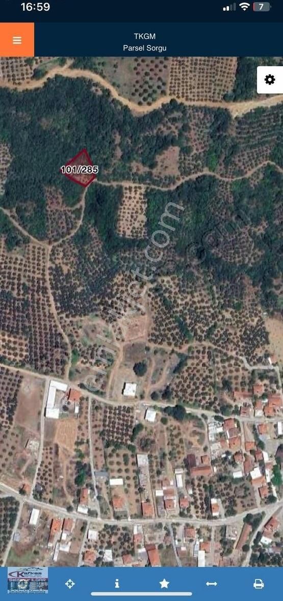 Kafkas'tan Mudanya Kaymakobada Satılık Zeytinlik 1.121 M²
