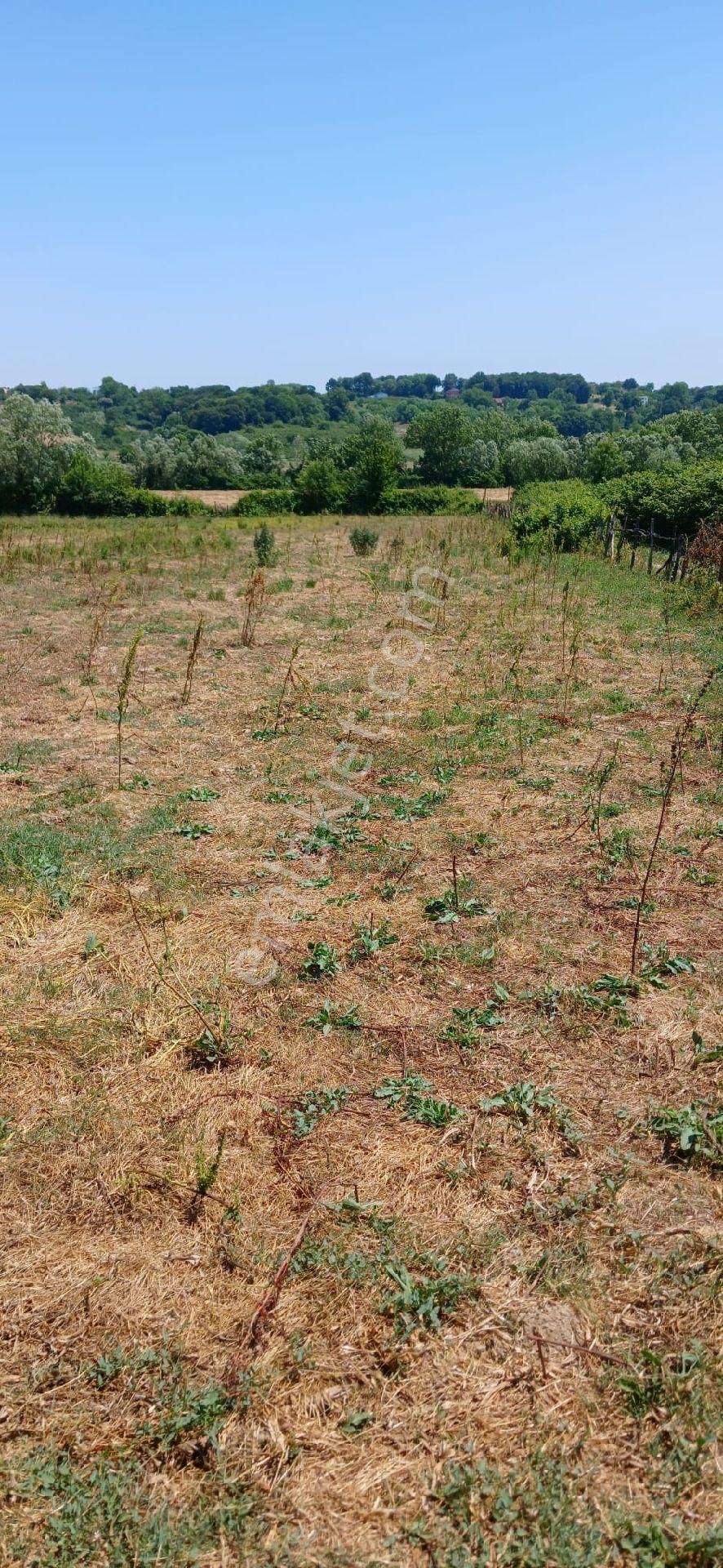 Kocaeli Kandıra Karaağaç Mahallesi Satılık Arsa