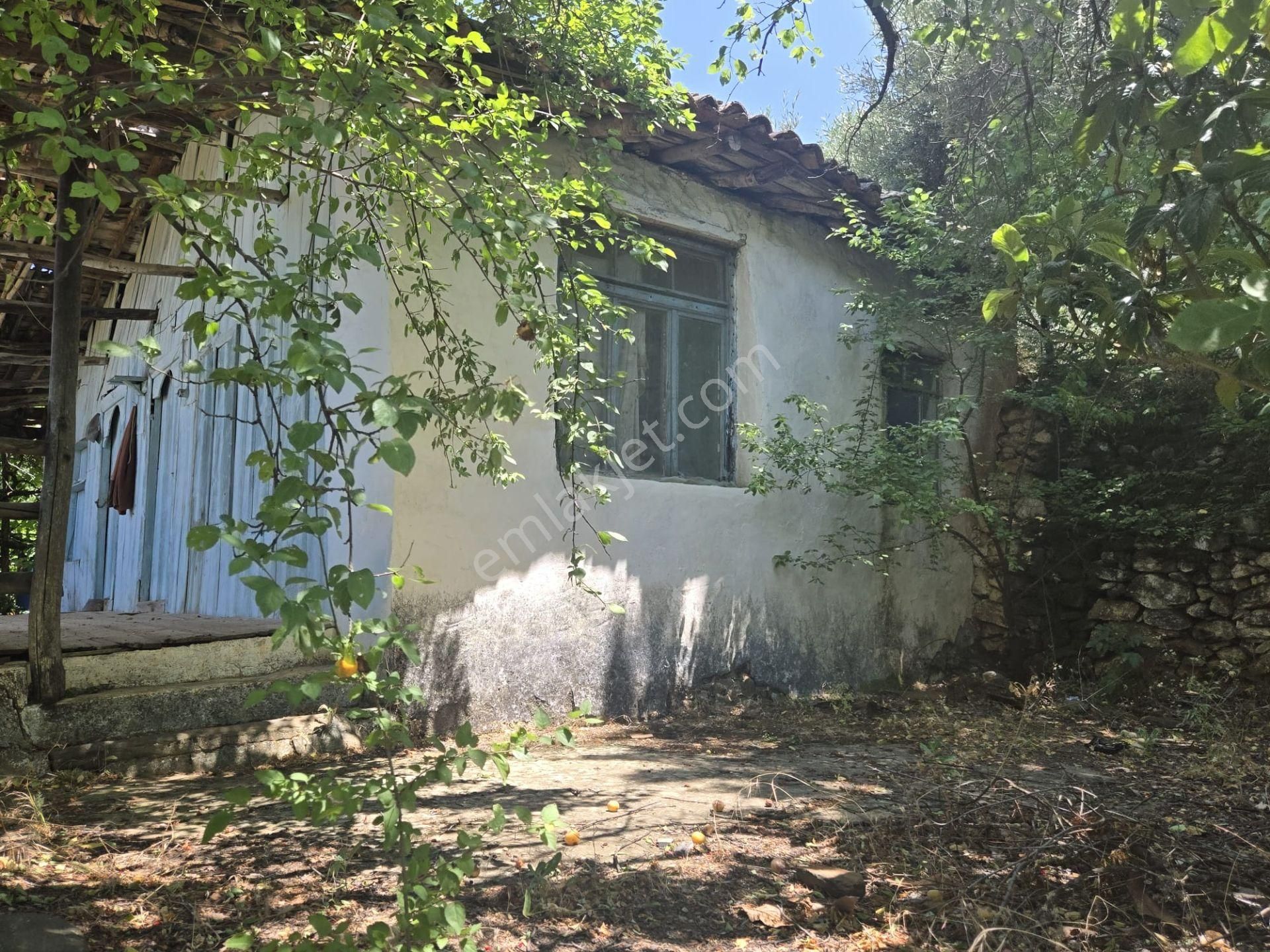 Aydın Nazilli Yöntem Emlaktan Karacasu Büyükdağlı Mahallesinde Satılık Müstakil Ev Ve Zeytin Bahçesi - Görsel 10