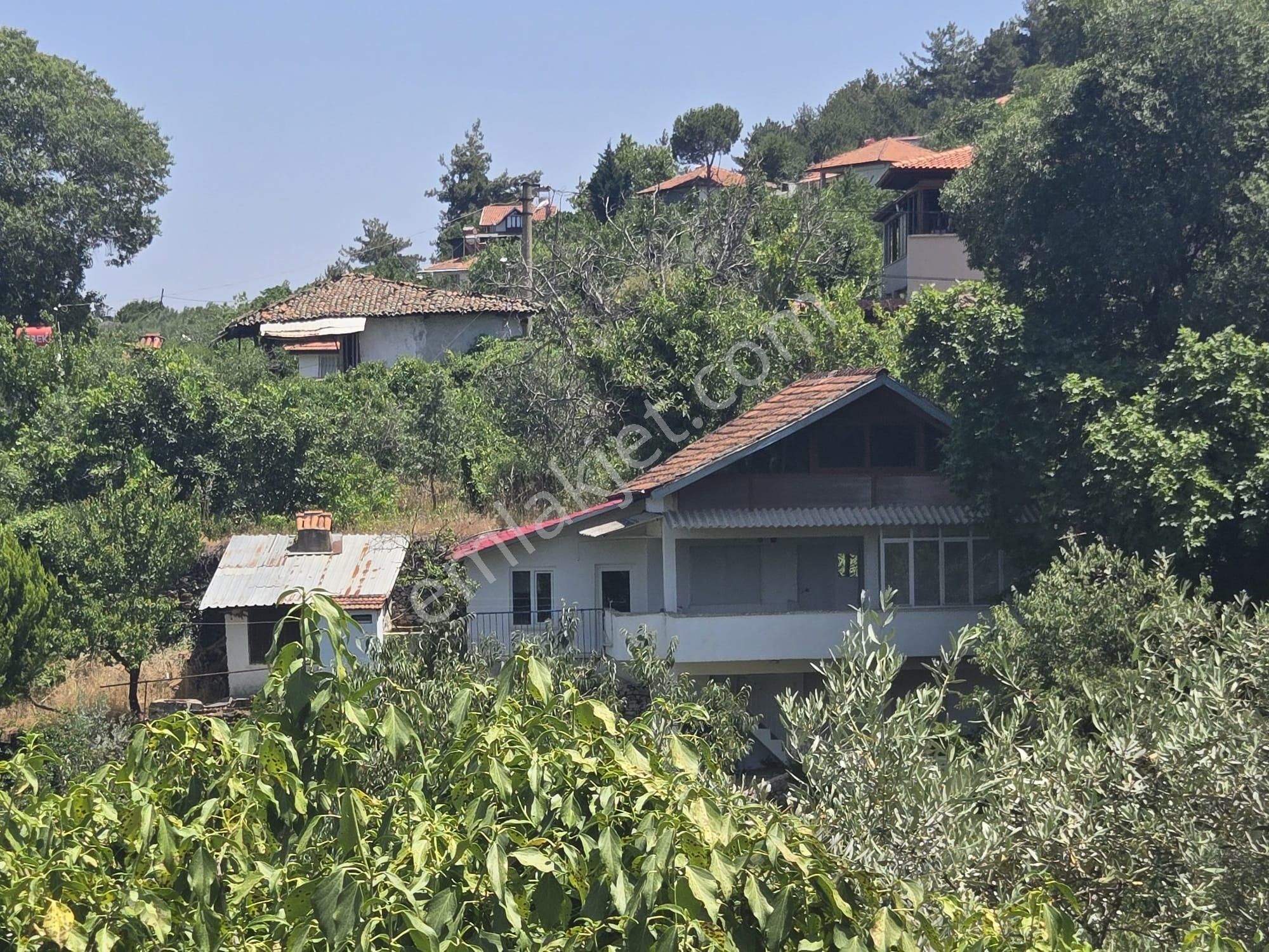 Aydın Nazilli Yöntem Emlaktan Karacasu Büyükdağlı Mahallesinde Satılık Müstakil Ev Ve Zeytin Bahçesi - Görsel 4