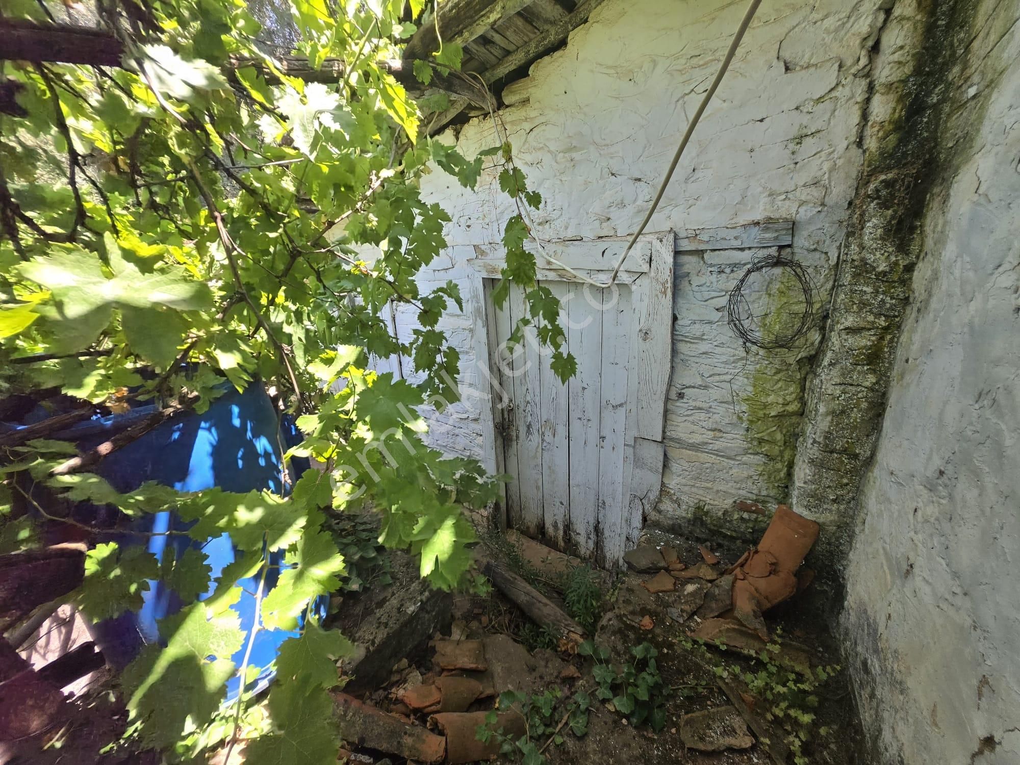 Aydın Nazilli Yöntem Emlaktan Karacasu Büyükdağlı Mahallesinde Satılık Müstakil Ev Ve Zeytin Bahçesi - Görsel 24