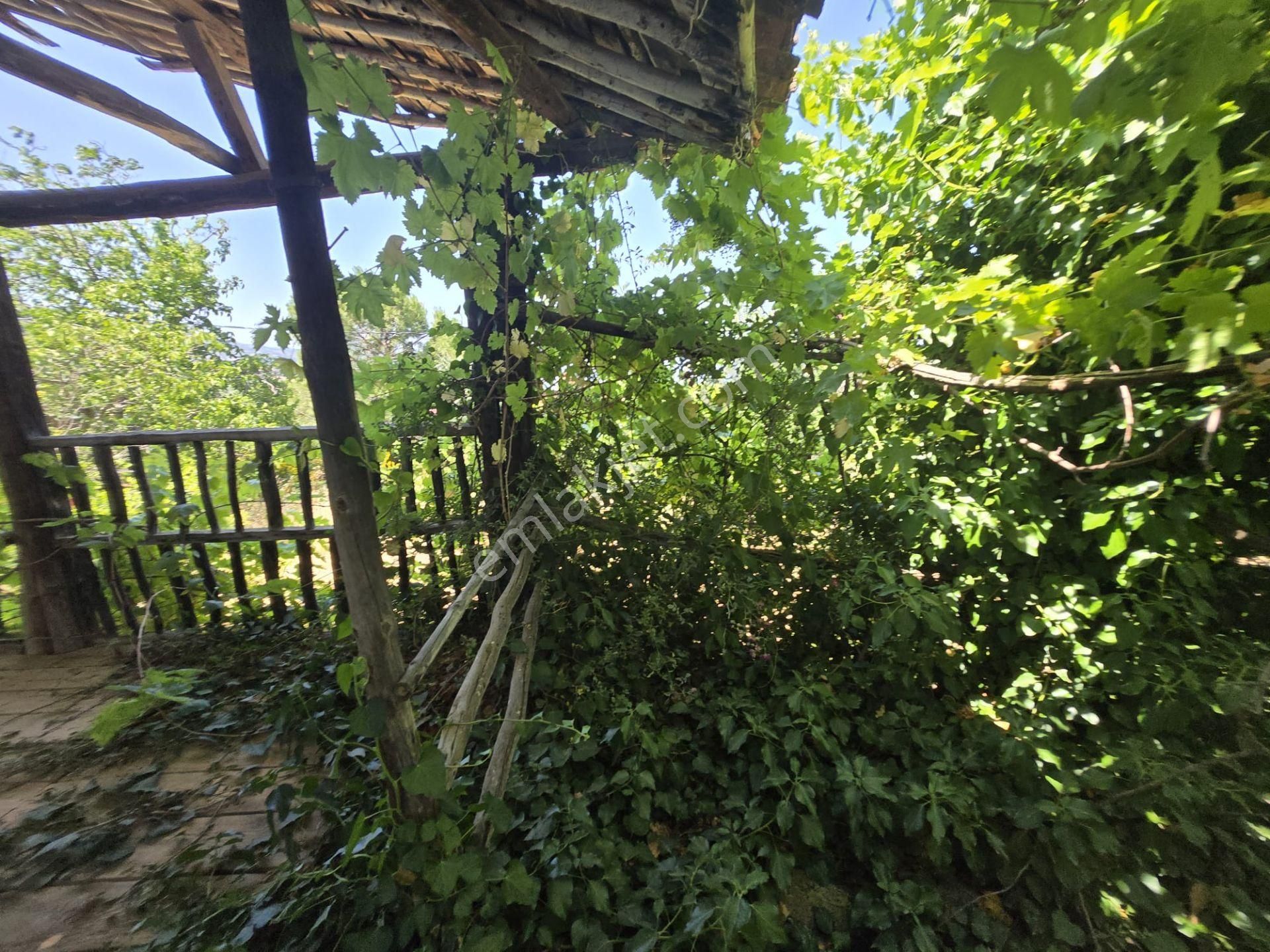 Aydın Nazilli Yöntem Emlaktan Karacasu Büyükdağlı Mahallesinde Satılık Müstakil Ev Ve Zeytin Bahçesi - Görsel 25