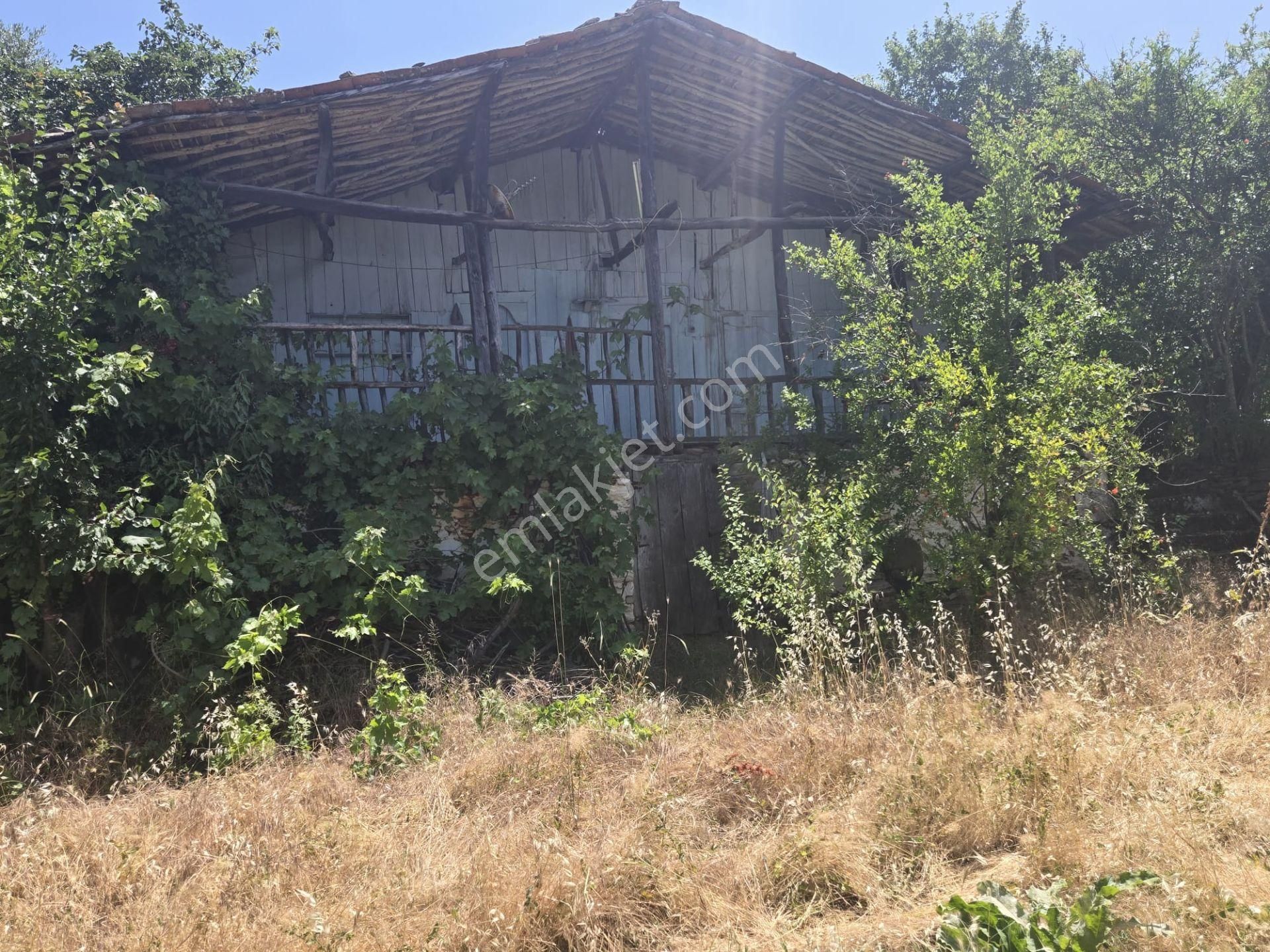 Aydın Nazilli Yöntem Emlaktan Karacasu Büyükdağlı Mahallesinde Satılık Müstakil Ev Ve Zeytin Bahçesi - Görsel 15