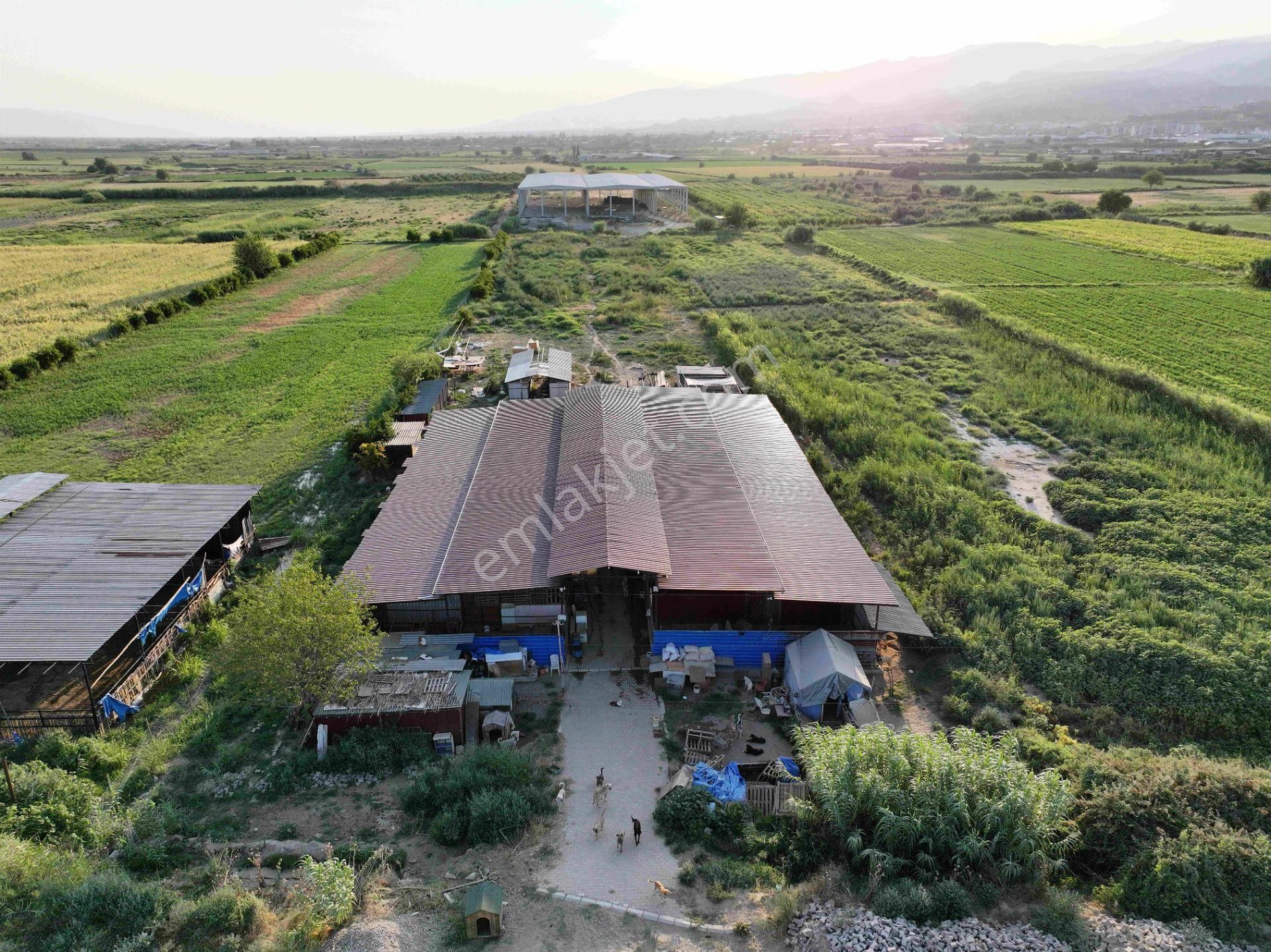 Majestic Manors - Dallıcada Satılık 7500m2 Çiftlik - Görsel 5