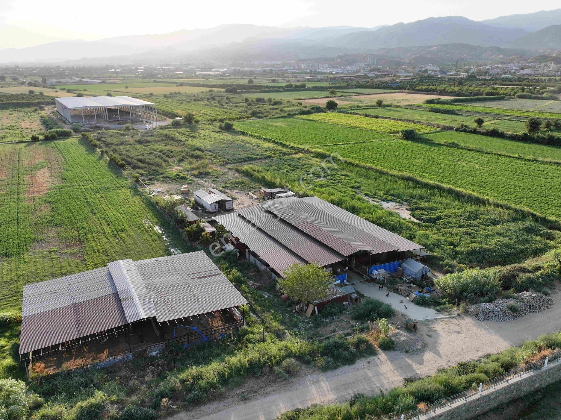 Majestic Manors - Dallıcada Satılık 7500m2 Çiftlik