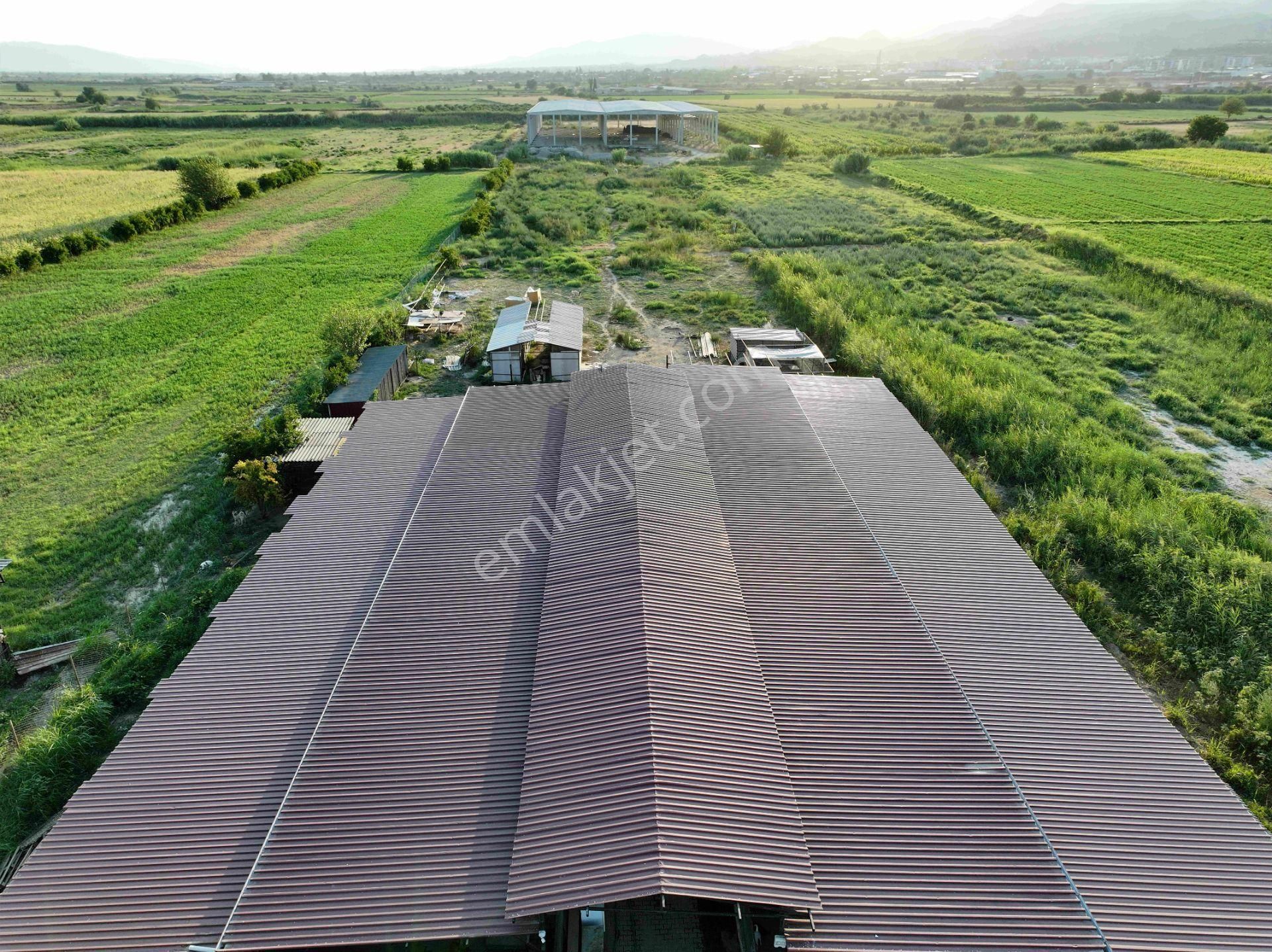 Majestic Manors - Dallıcada Satılık 7500m2 Çiftlik - Görsel 6