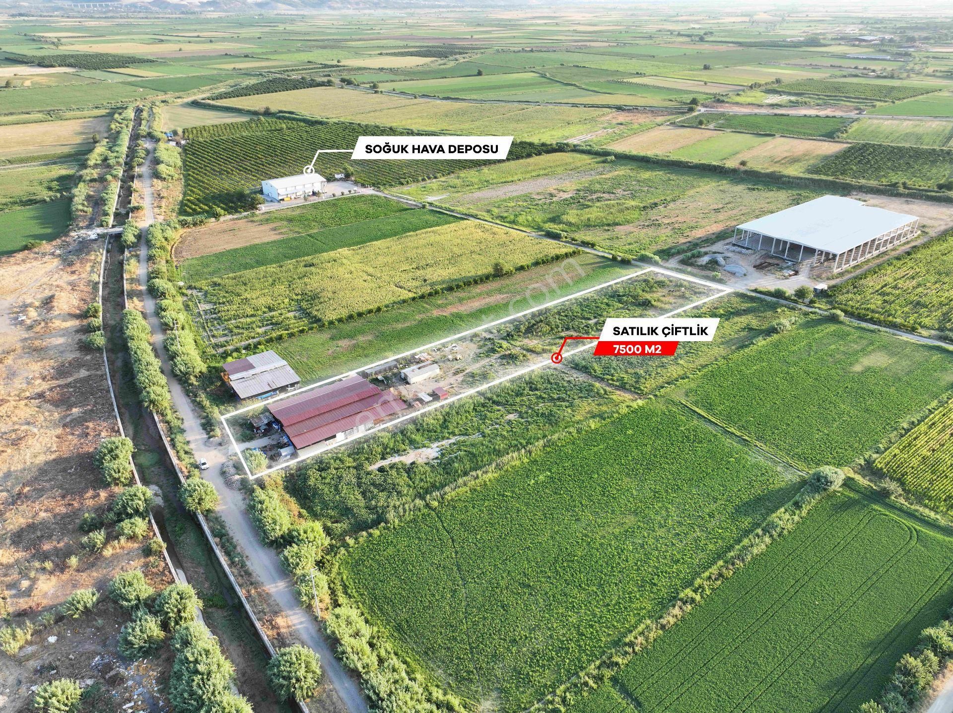 Dallıca'da Satılık 7500m2 Çiftlik 1000m Kapalı Alan