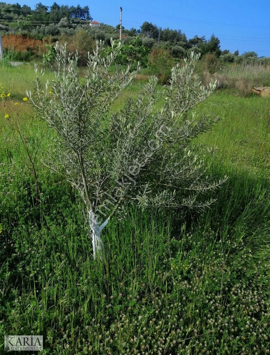 Dalaman Kapıkargın Da Göl Ve Deniz Manzaralı Arsa