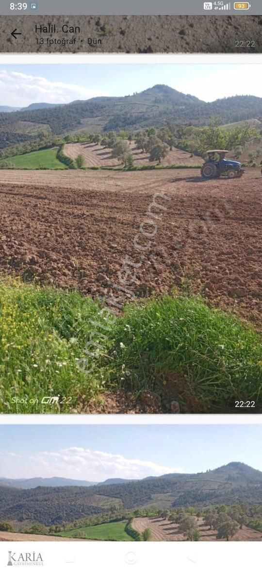 Satılık Tarla Aydın Bozdoğan Örencik Mh.armutçuk Ta