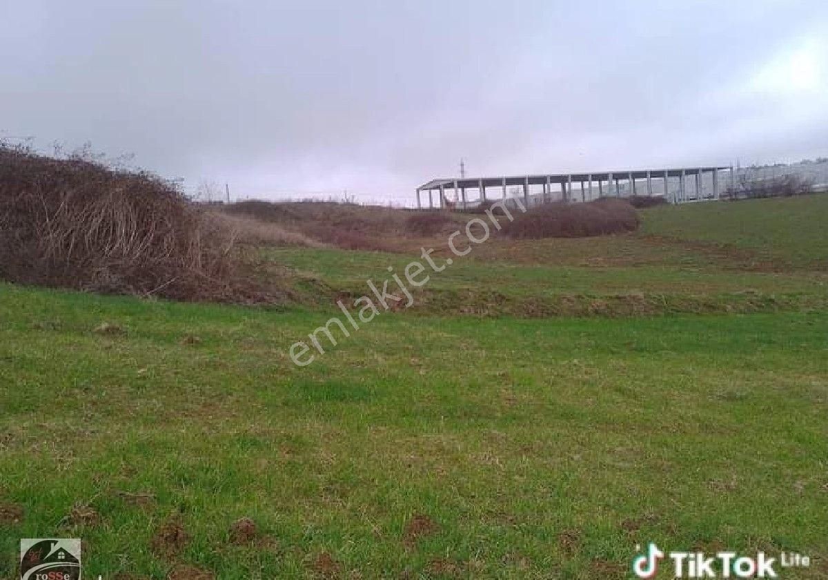 Samsun Toybelen De Satılık Ticari İmarlı Arsa - Görsel 10