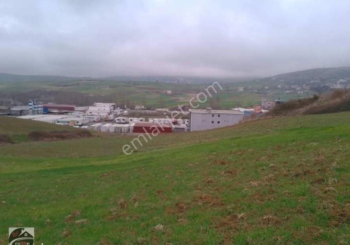 Samsun Toybelen De Satılık Ticari İmarlı Arsa - Görsel 2