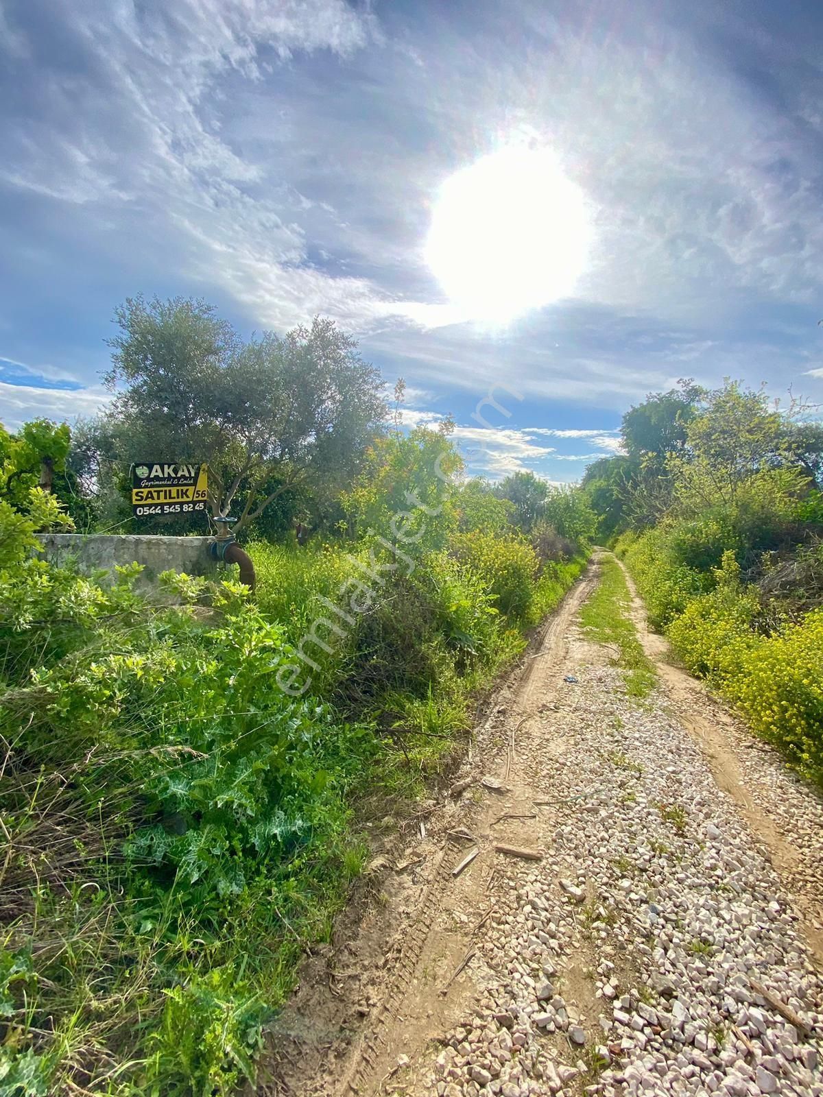 Sultanhisar Da Satılık Meyve Bahçesi - Görsel 6