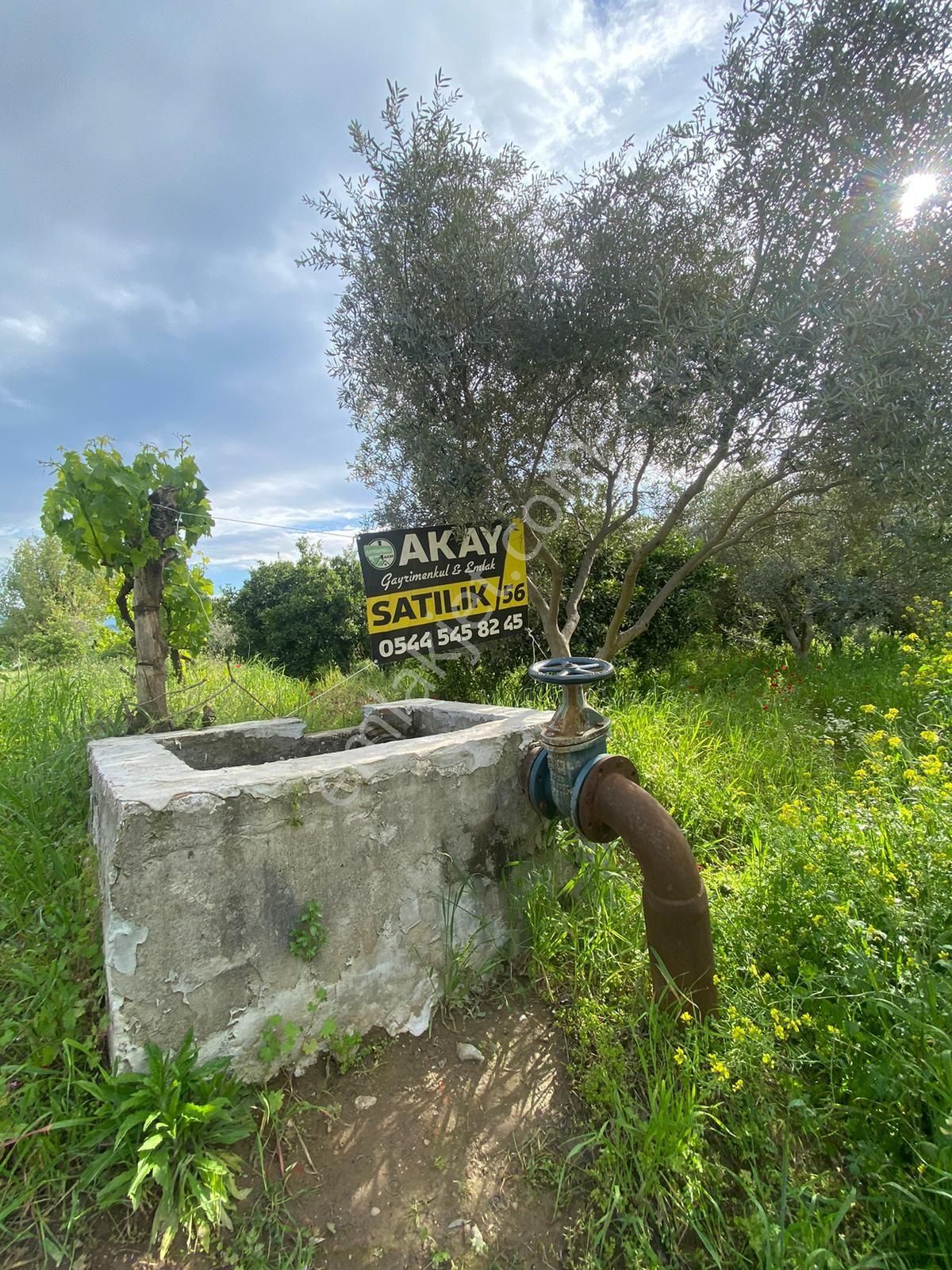 Sultanhisar Da Satılık Meyve Bahçesi - Görsel 2