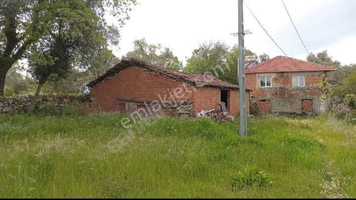 Bozdoğan Çamlıderede 5485m2 Bahçeli Müstakil Ev