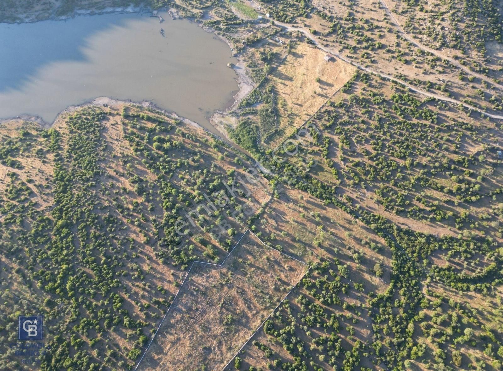 Coldwellbanker Route'tan Dikili Katıralanda Acil!! Satılık Tarla - Görsel 2