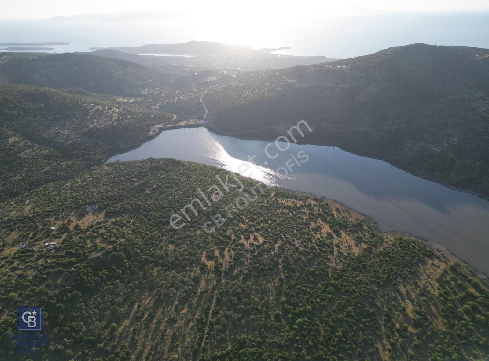 Coldwellbanker Route'tan Dikili Katıralanda Acil!! Satılık Tarla - Görsel 8