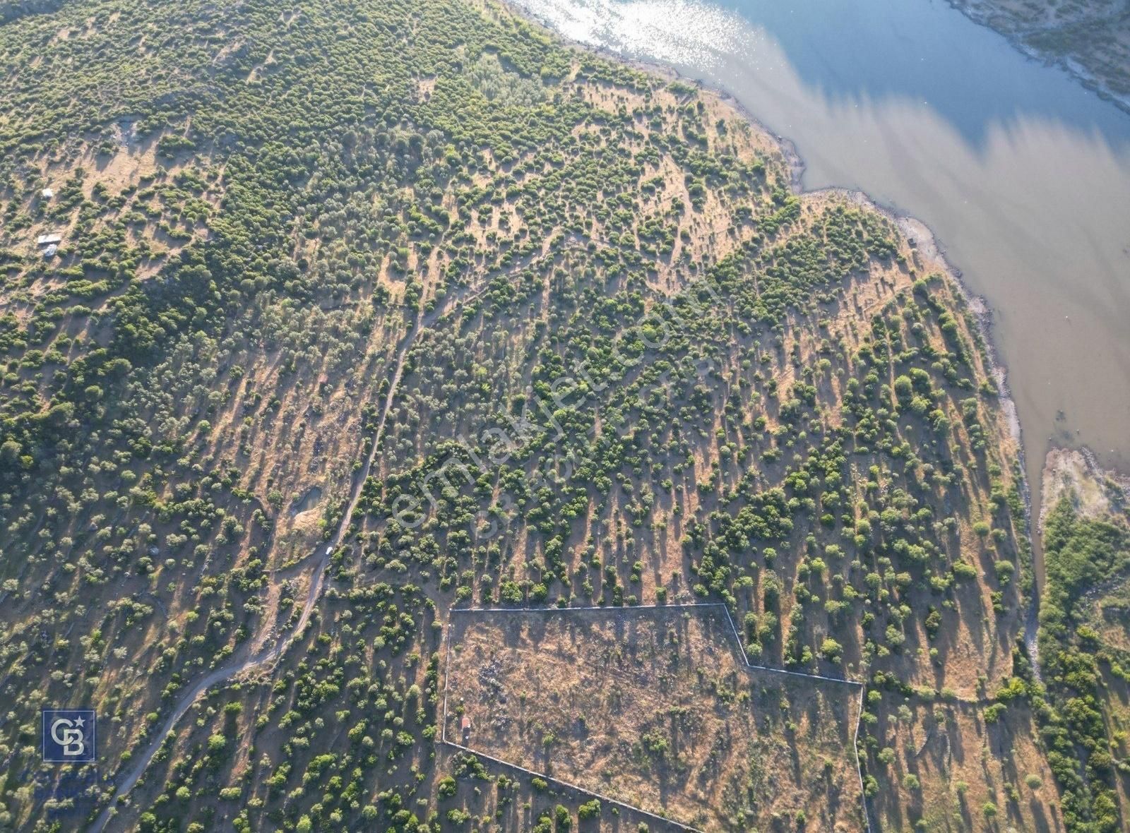 Coldwellbanker Route'tan Dikili Katıralanda Acil!! Satılık Tarla - Görsel 9